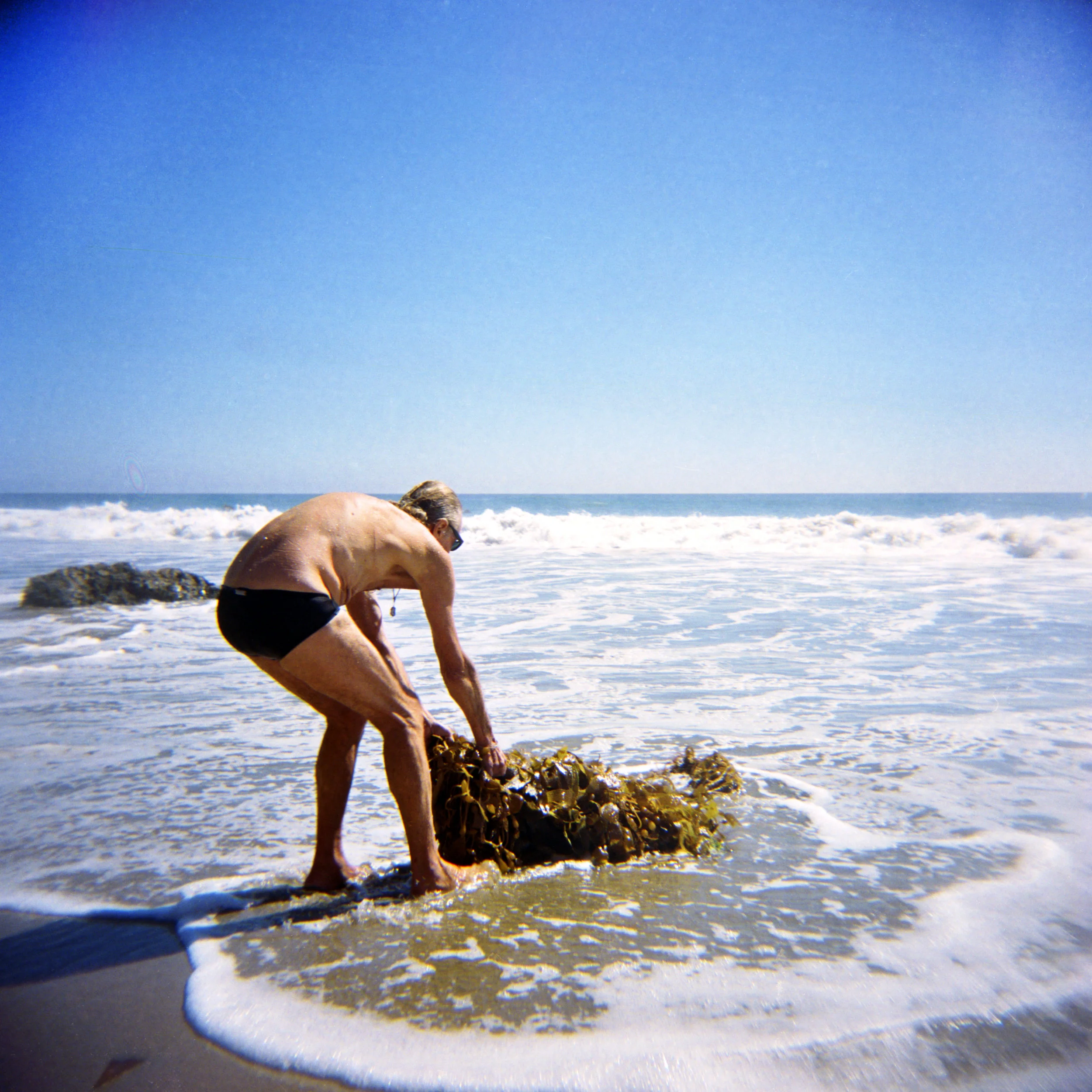 seaweed_edit.jpg