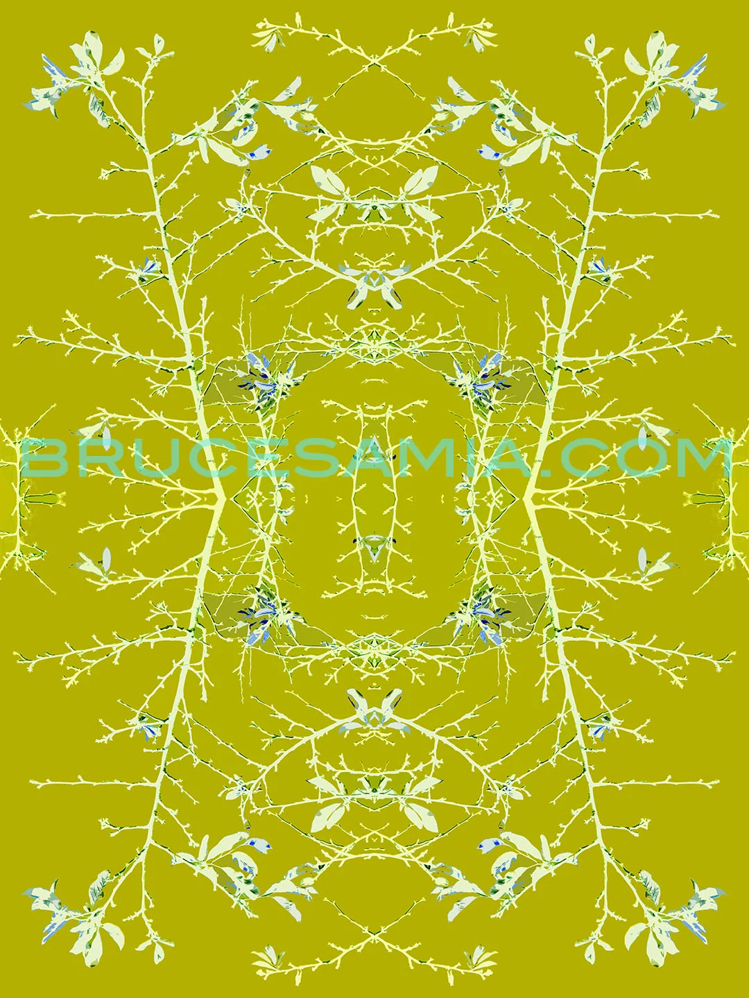 5.marfa-branch-chartreus-24x32