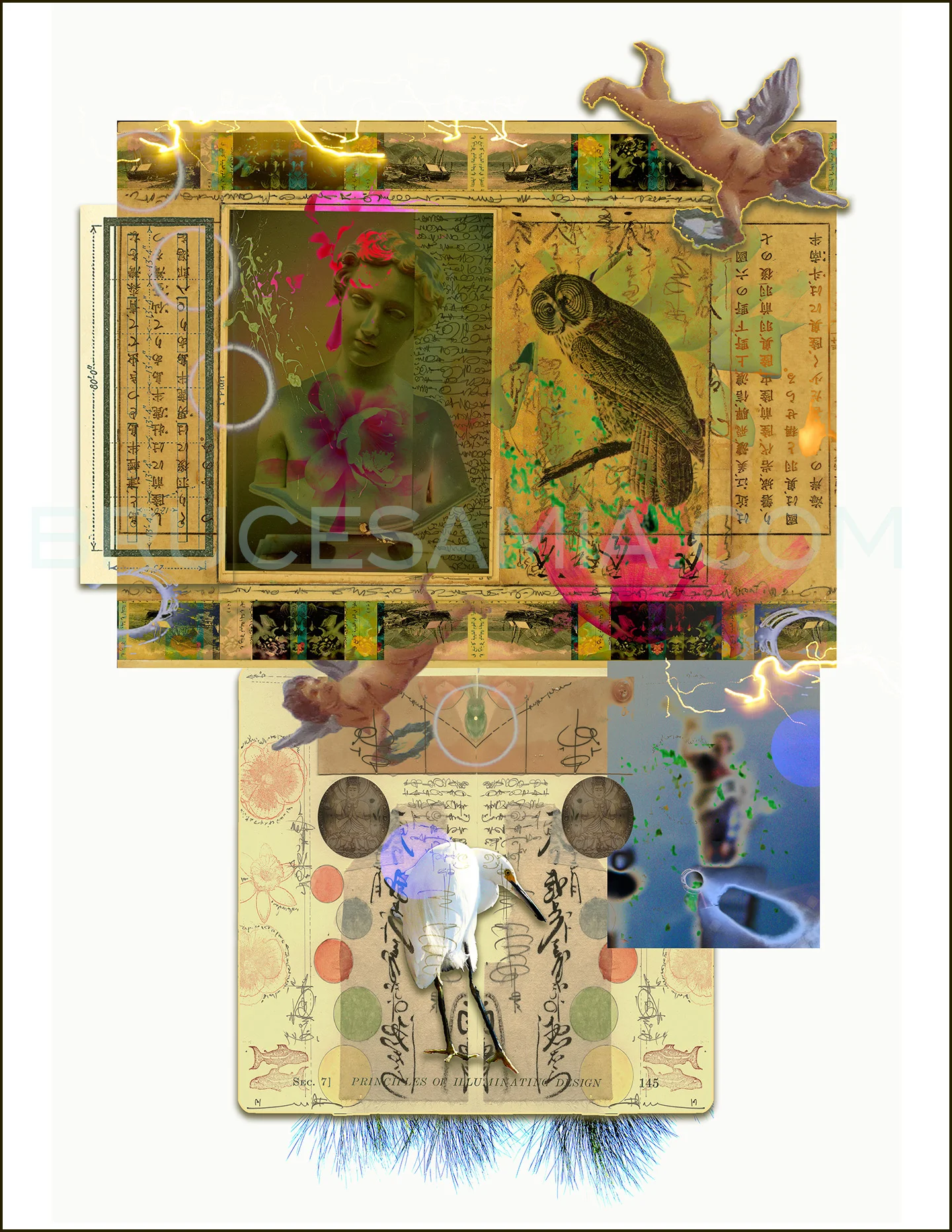 5. THE OWL