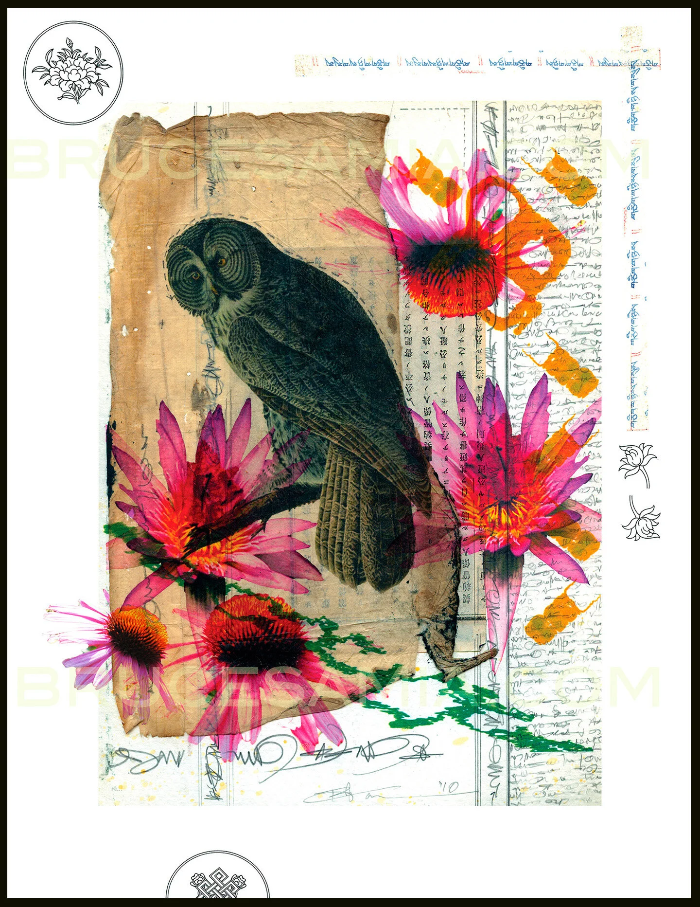 # 2. OWL COLLAGE W/ WRITINGS - custom editions 17X22