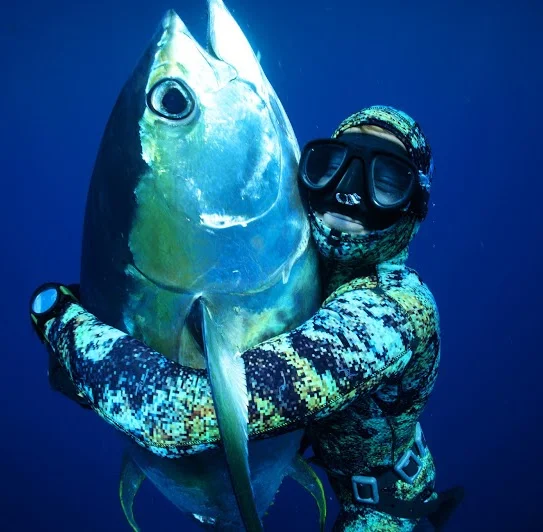 Story by master free diver & amazing family man, John Dornellas. 
