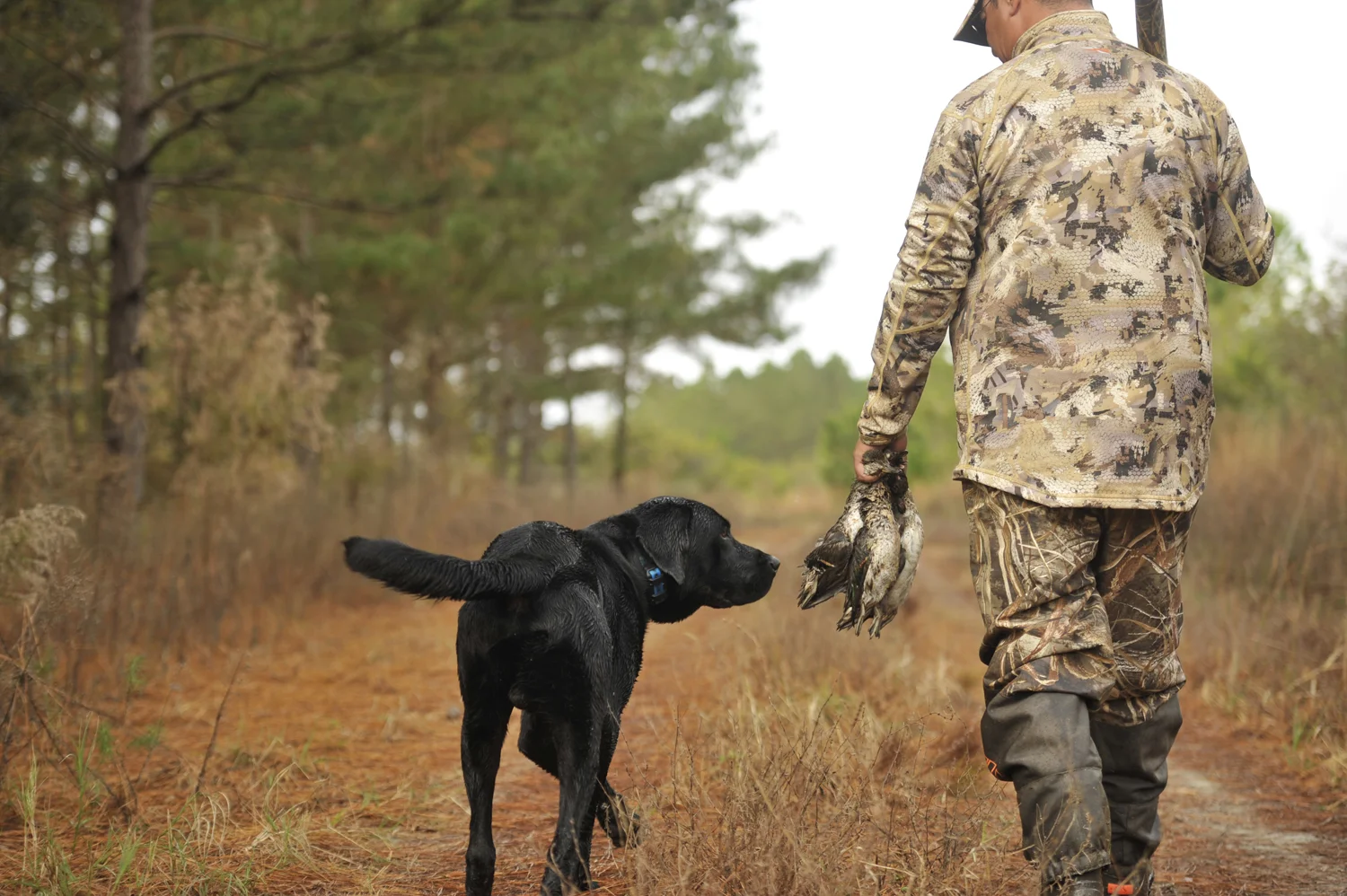 DuckHunting_ajneste_011.jpg