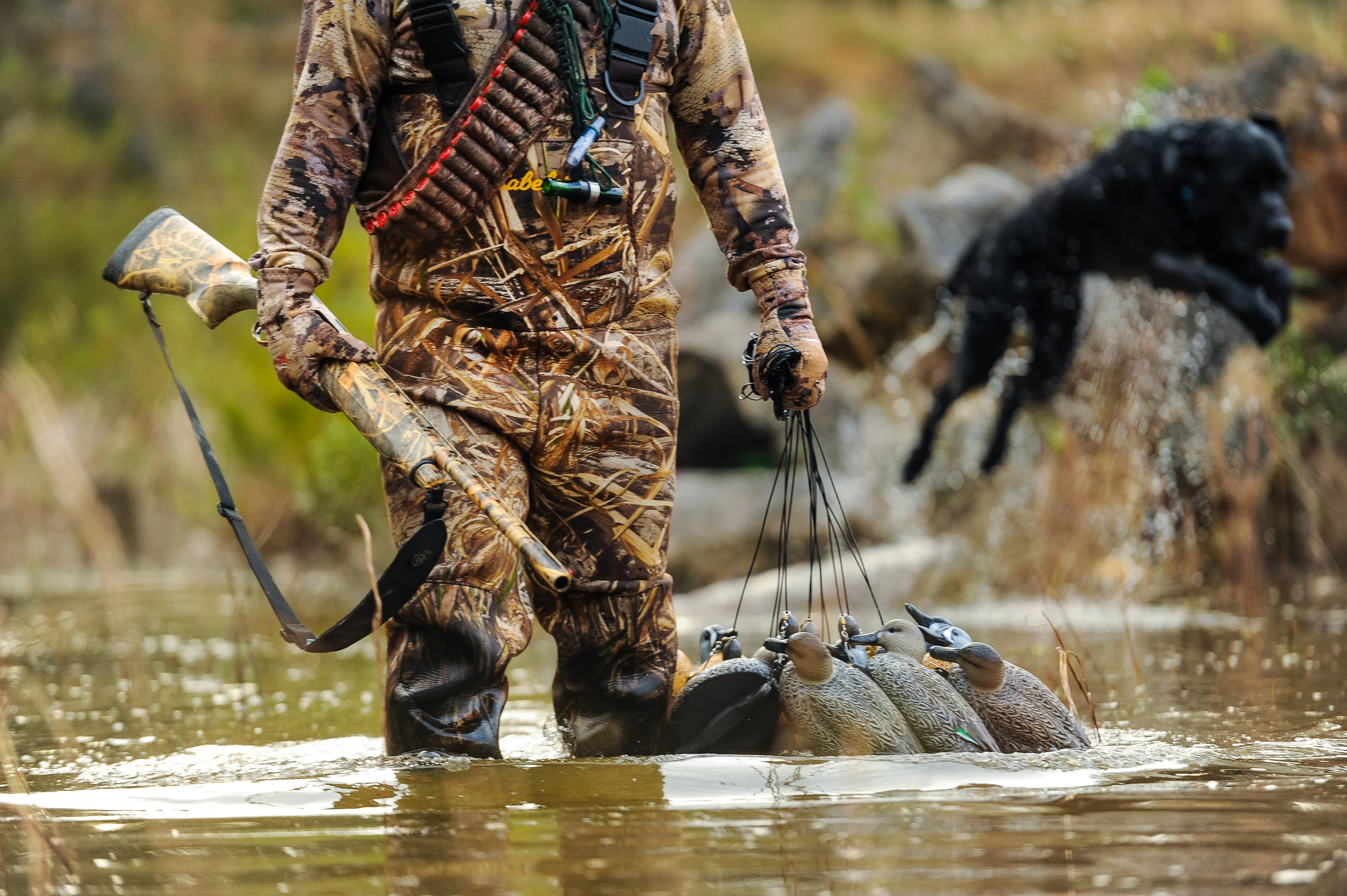 Essentials Of Duck Hunting 