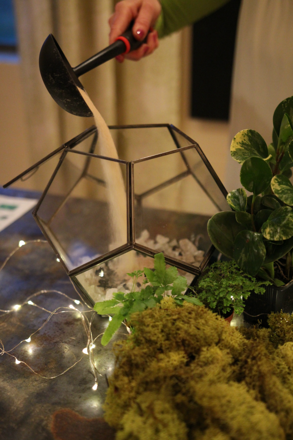 My DIY terrarium coffee table, fingers crossed all the plants stay happy! :  r/houseplants