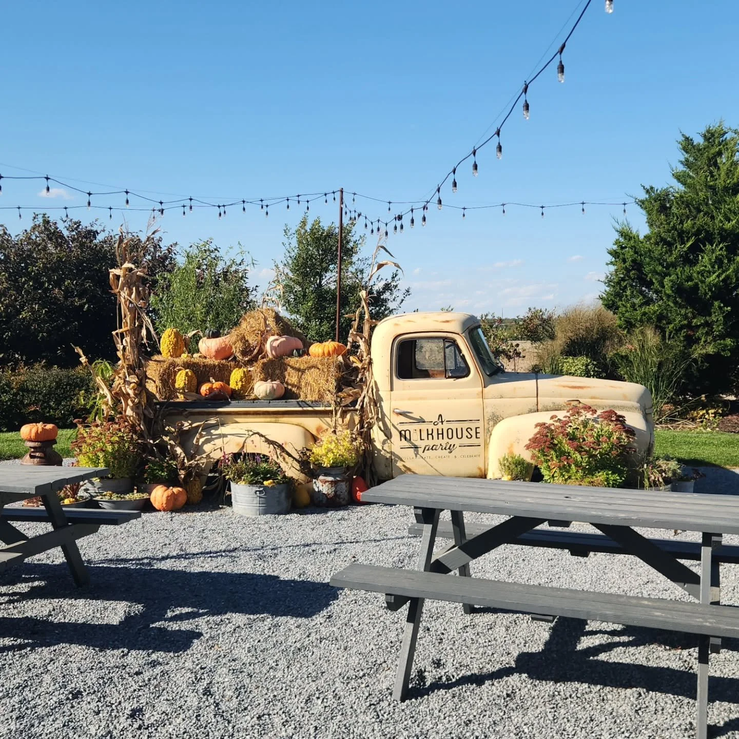 Now booking for Friendsgiving! Perfect location to host your friends this season. Email hello@amilkhouseparty.com for details.