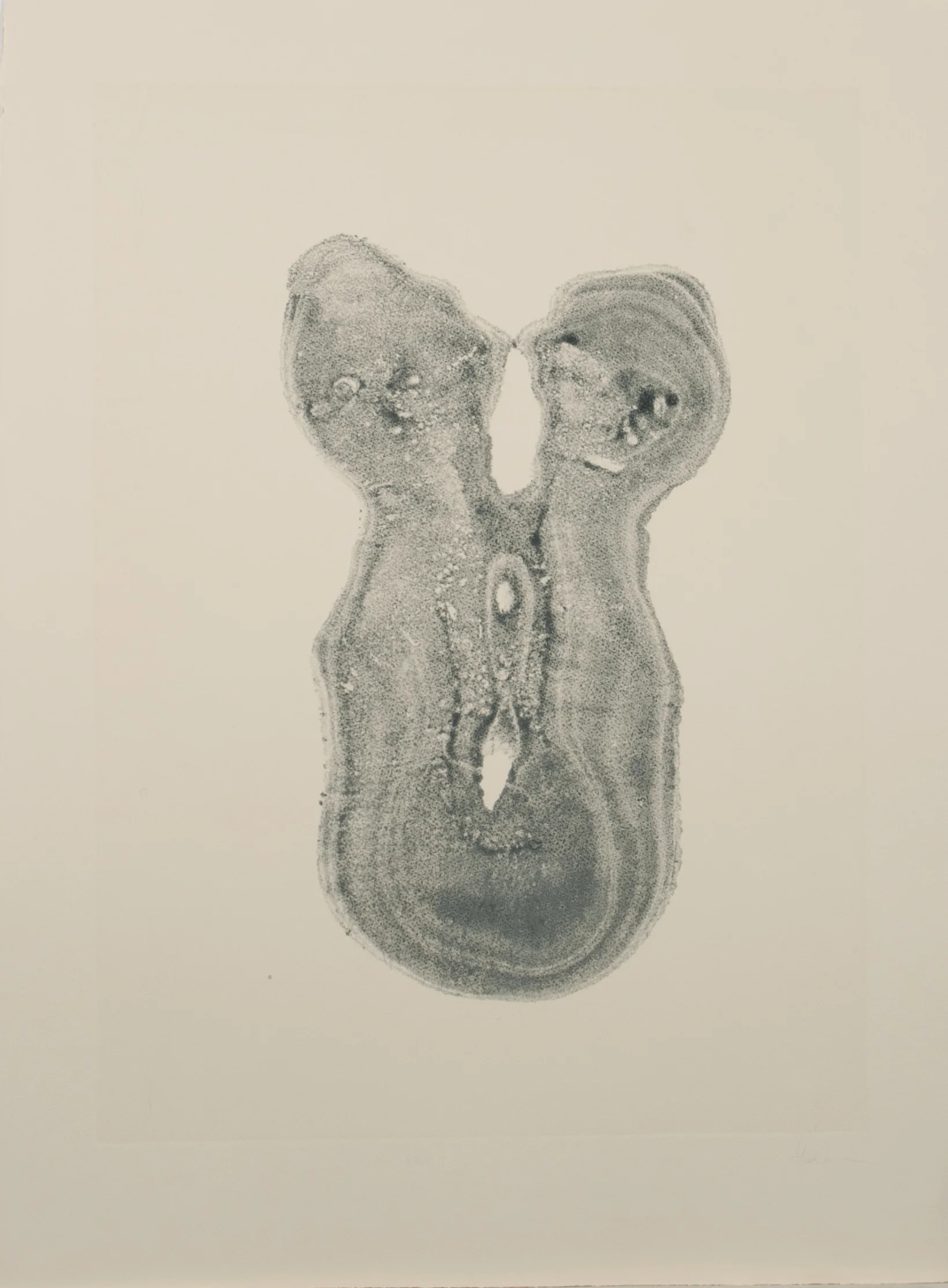 Coleman__Folio0016.jpg