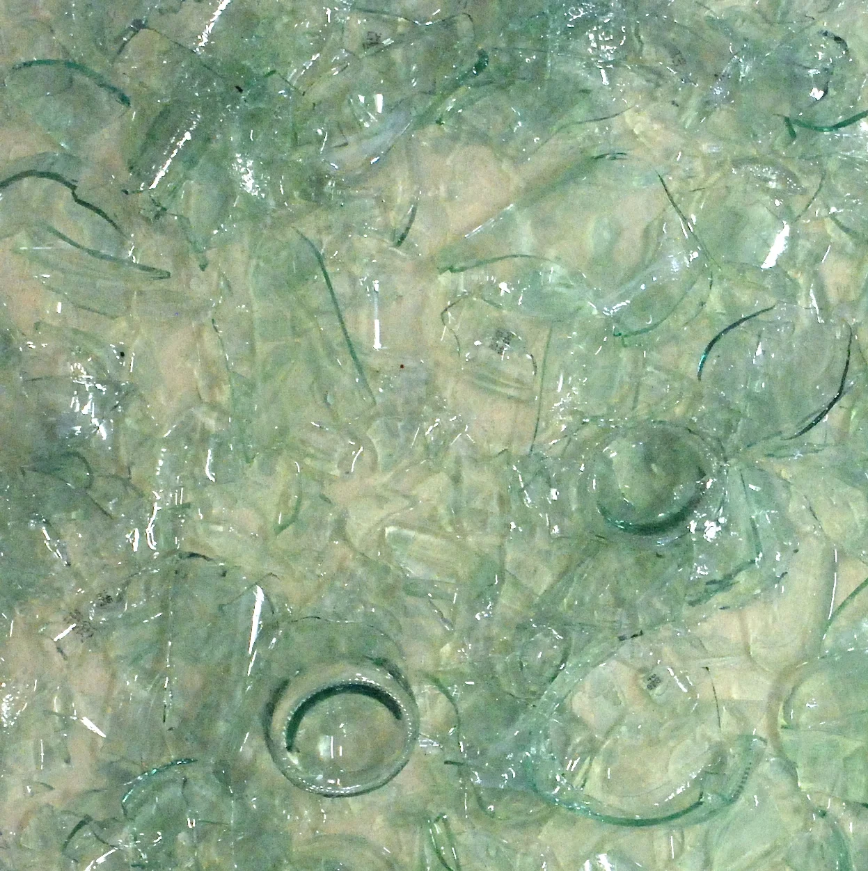 Wine Bottles (Detail)
