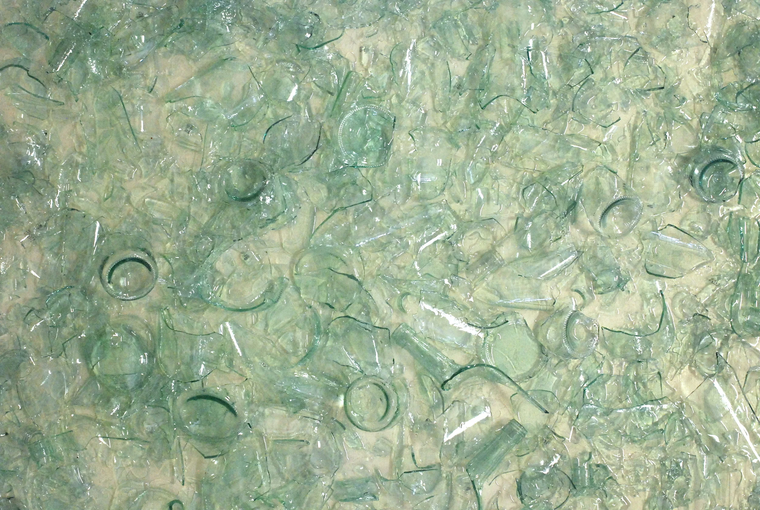 Wine Bottles