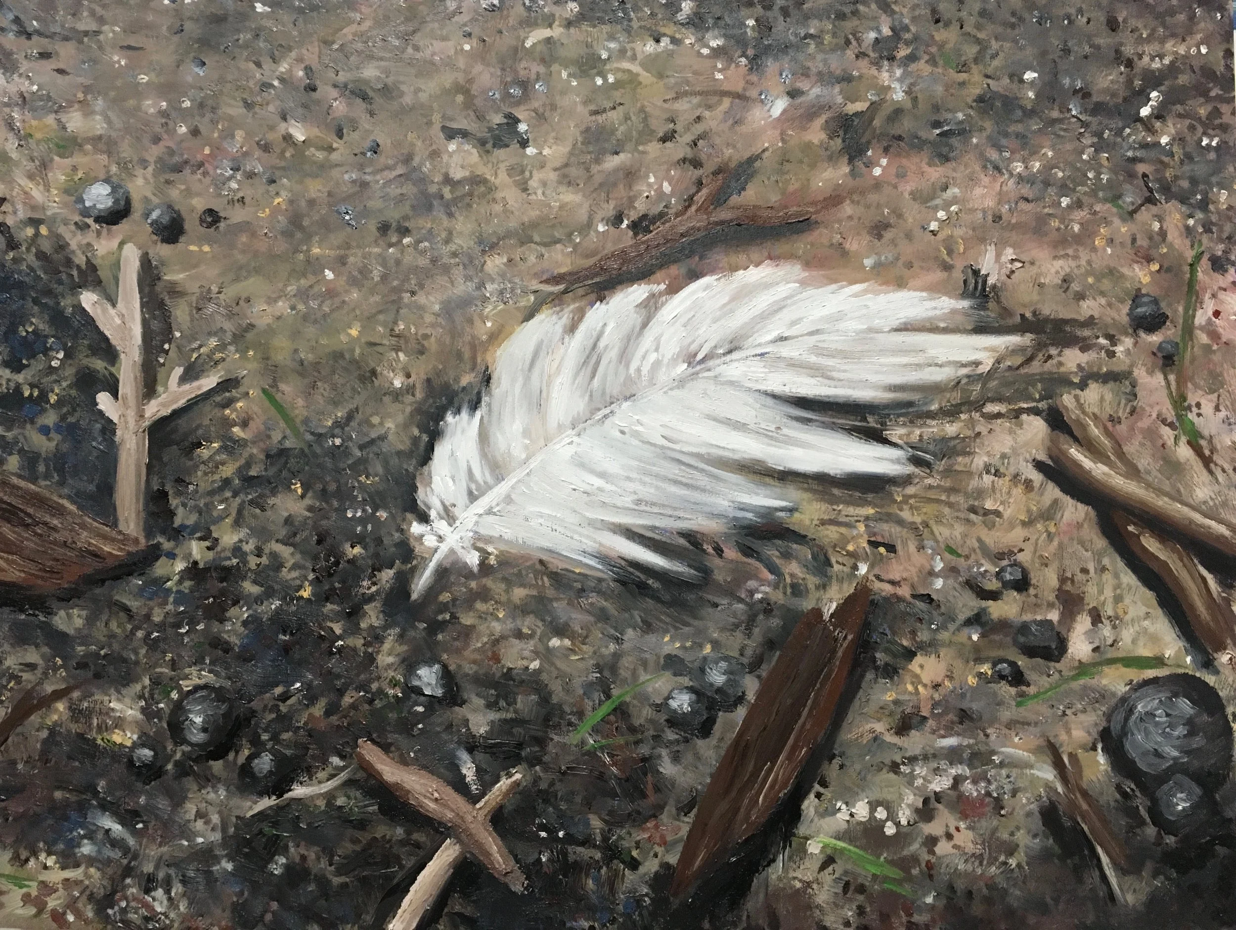 Feather