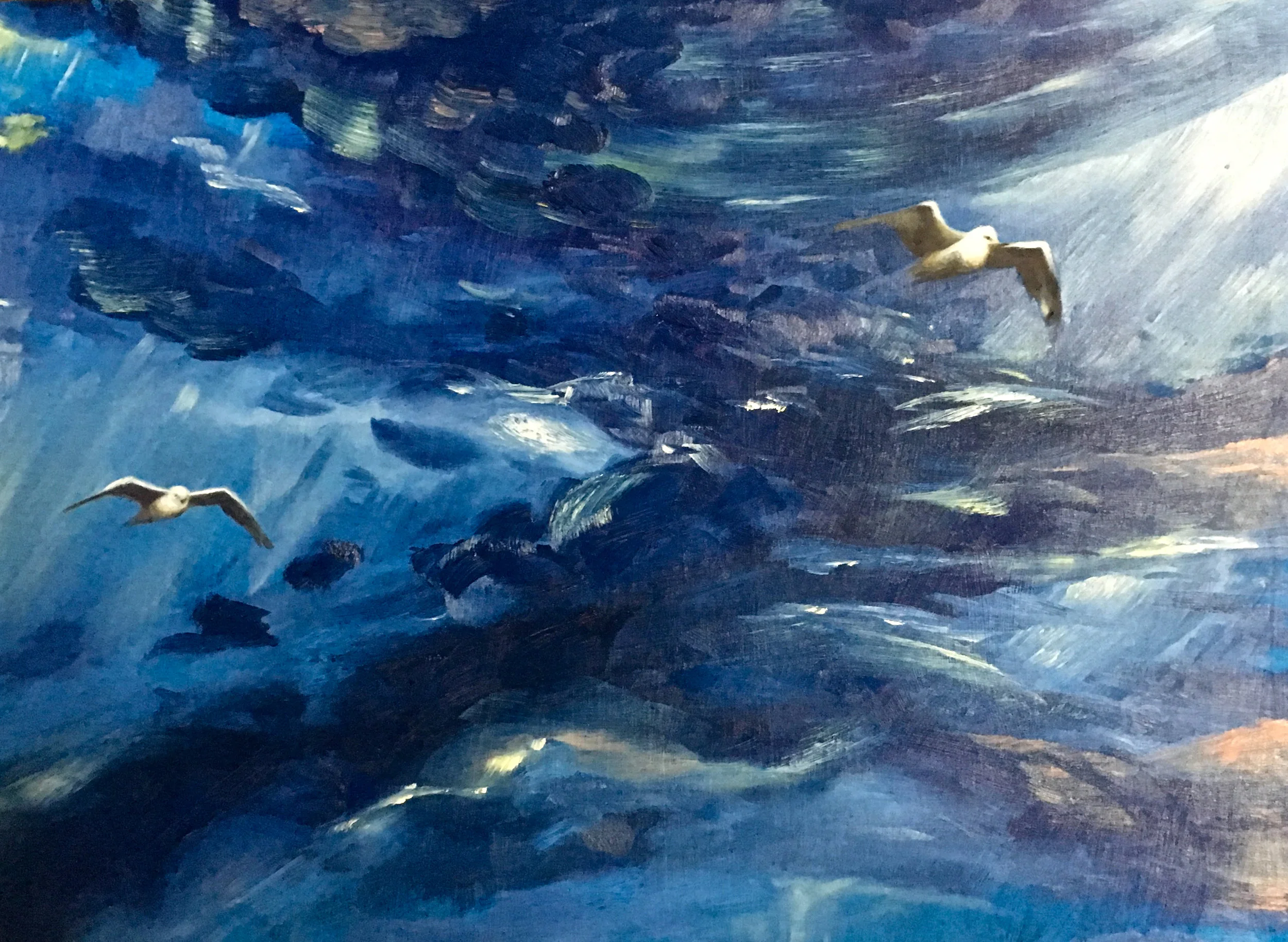 Stormy Seagulls