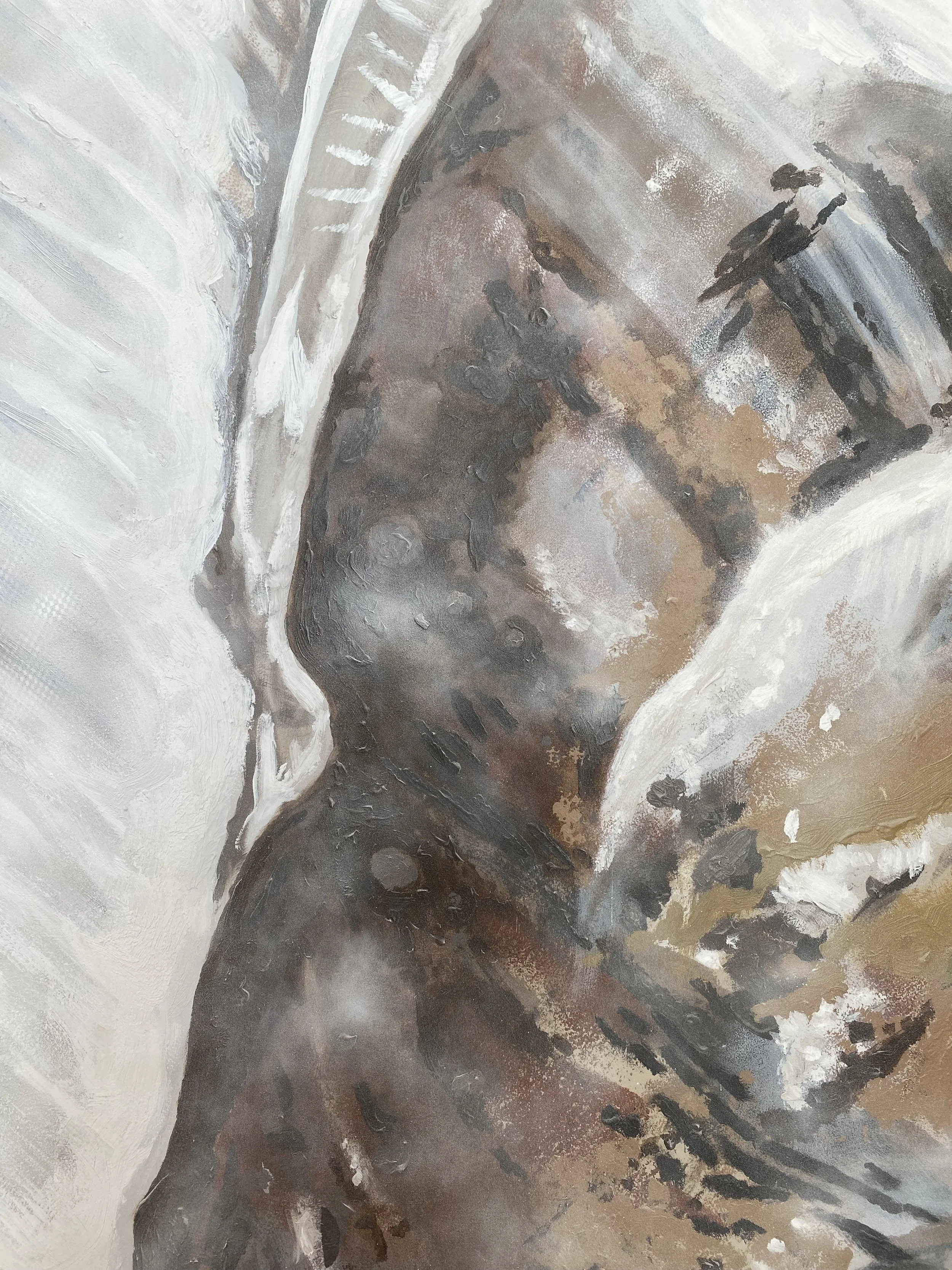 Cliffside detail 3.jpg