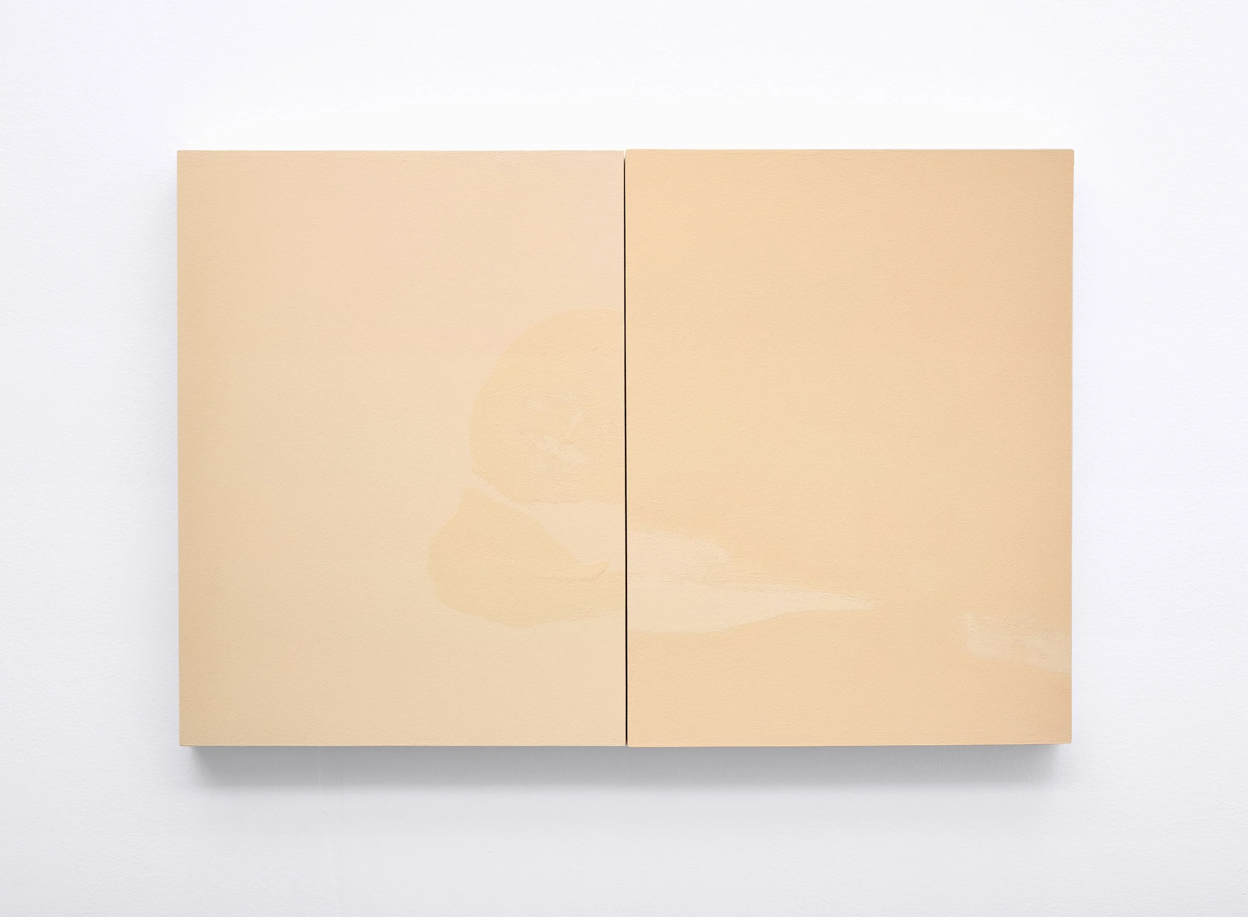 Formations 1 (Left Breast and Shoulder to Right Calf) Latex paint on wood panel Diptych, each panel 12” x 16” 24” x 16” (combined) 2025