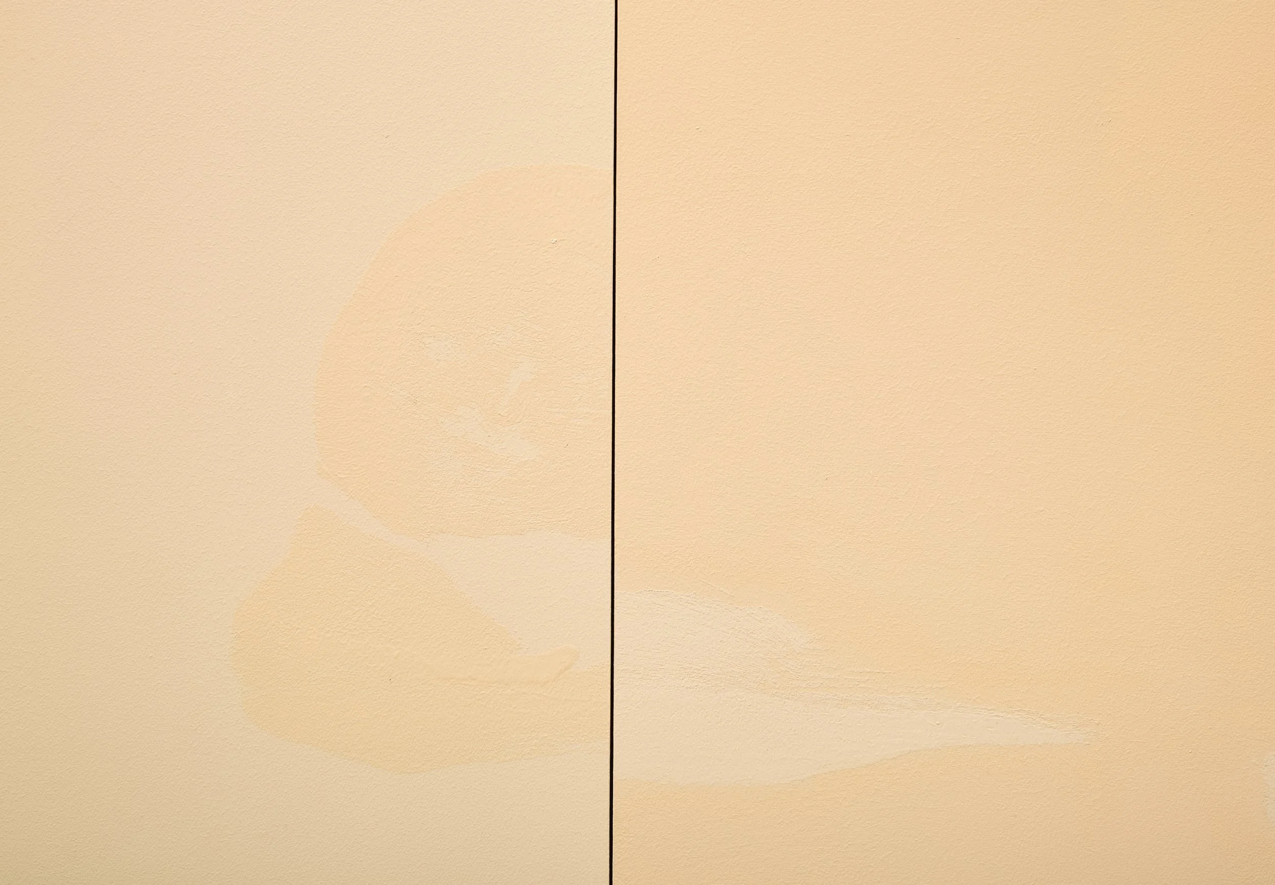 Formations 1 (Left Breast and Shoulder to Right Calf) Latex paint on wood panel Diptych, each panel 12” x 16” 24” x 16” (combined) 2025
