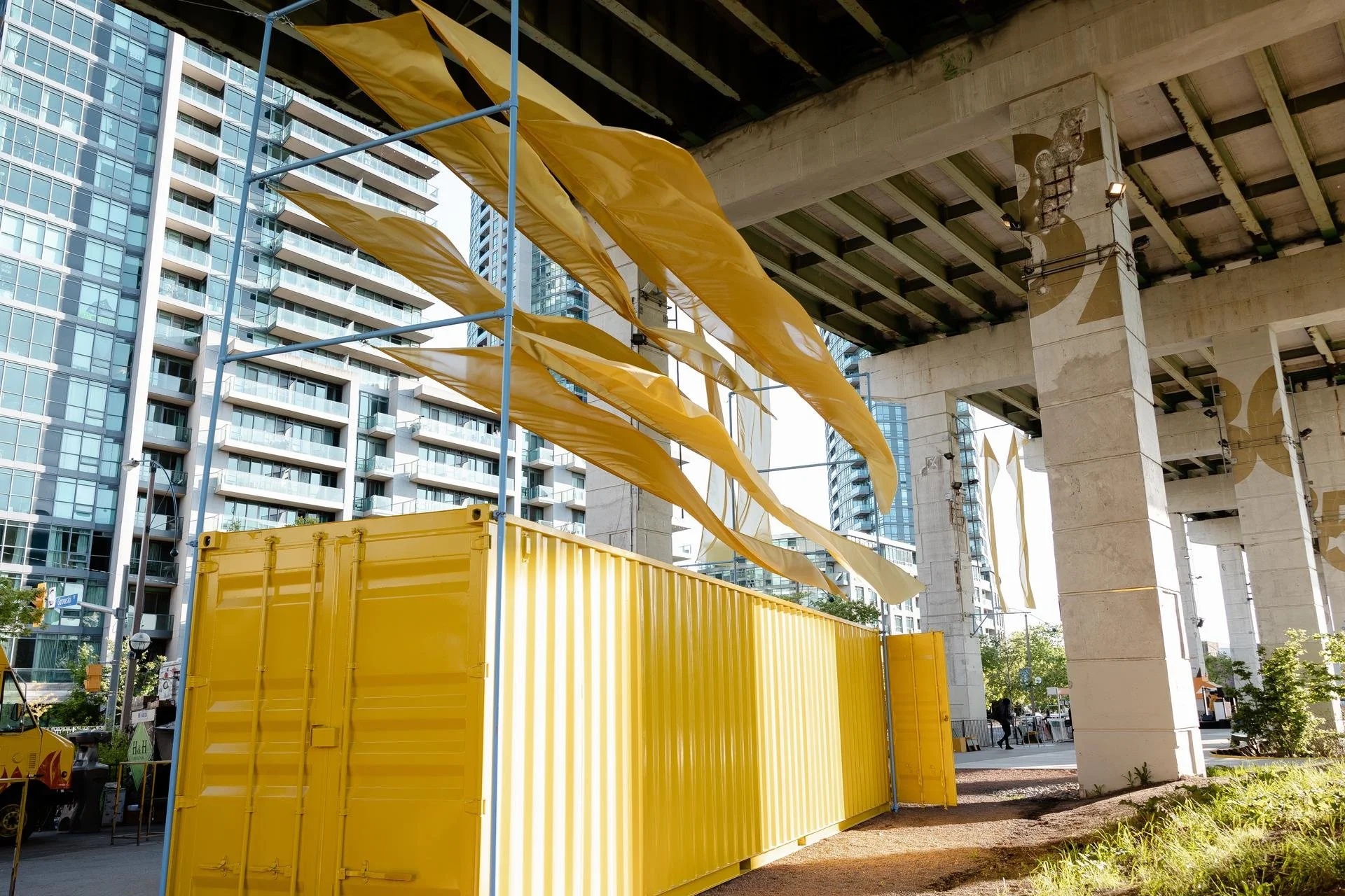  Photo by Jess Baumung 