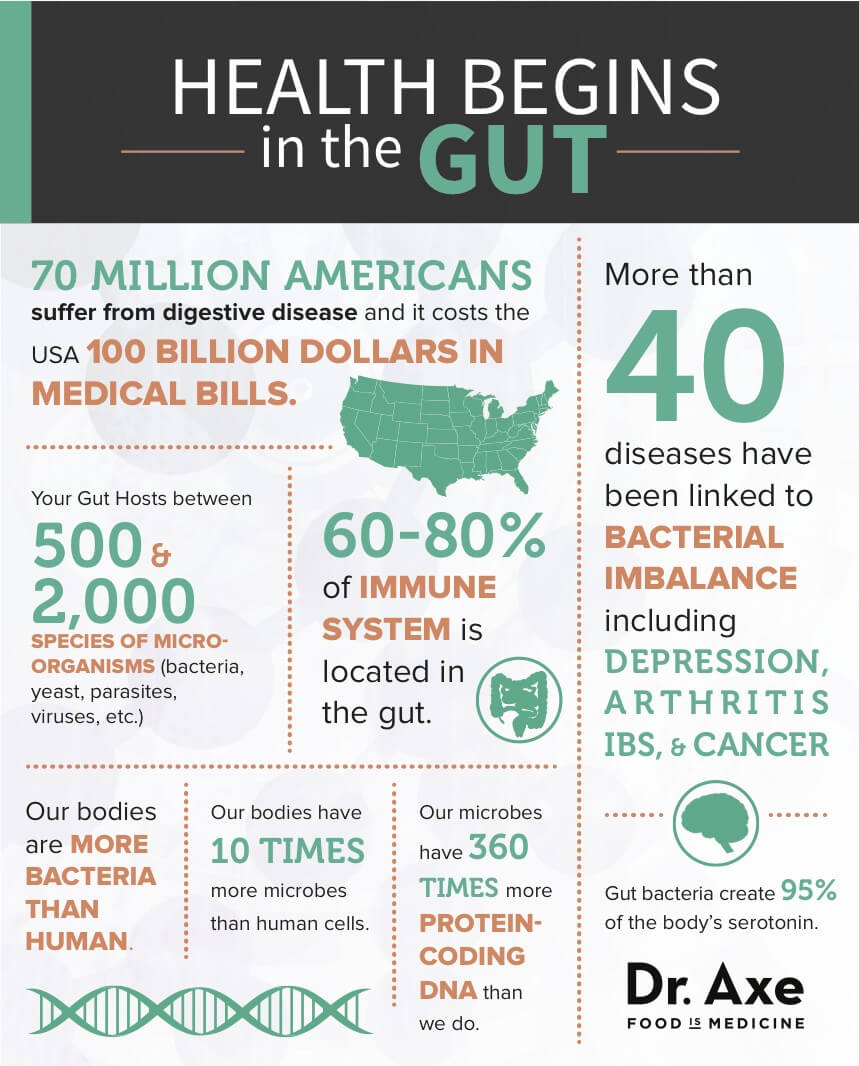 Did you know that 60-80% of our immune system is found in our gut?!?!