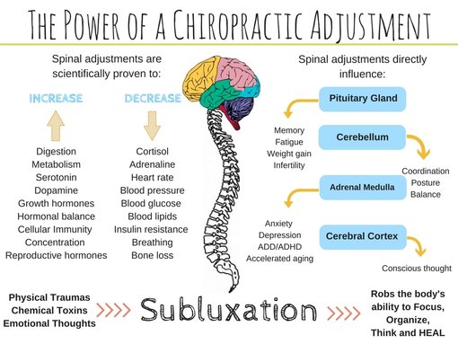 the-power-of-an-adjustment.jpg