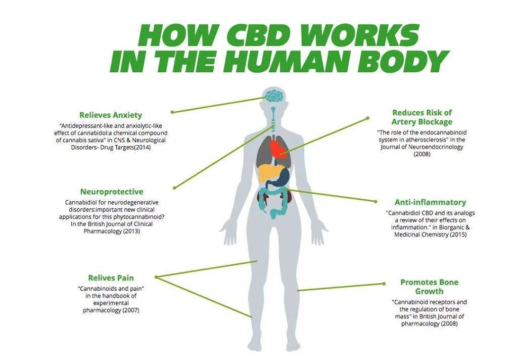 CBD.jpg