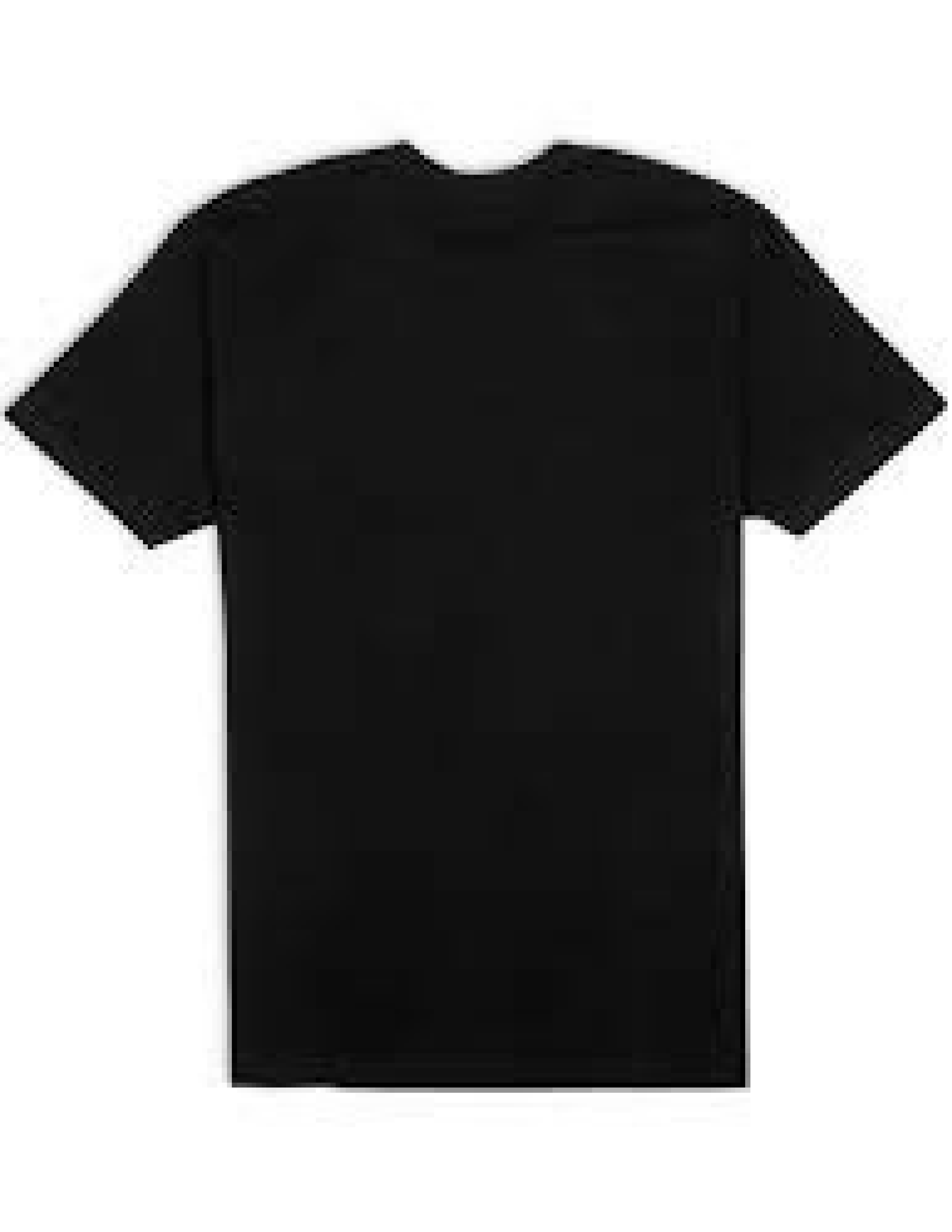 Logo T-shirt Back (Blank)