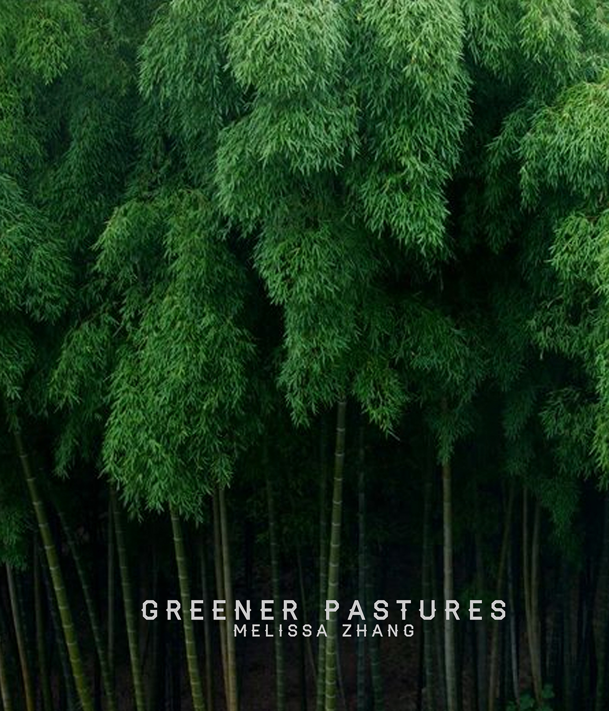   Sustainability Portfolio, 2014/2015.    The idea was to use specific fashion sustainability methods to create a small collection. All fabrics would be naturally dyed for chemical reduction.  