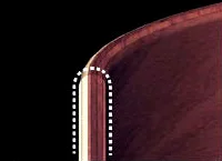 Fully Rounded