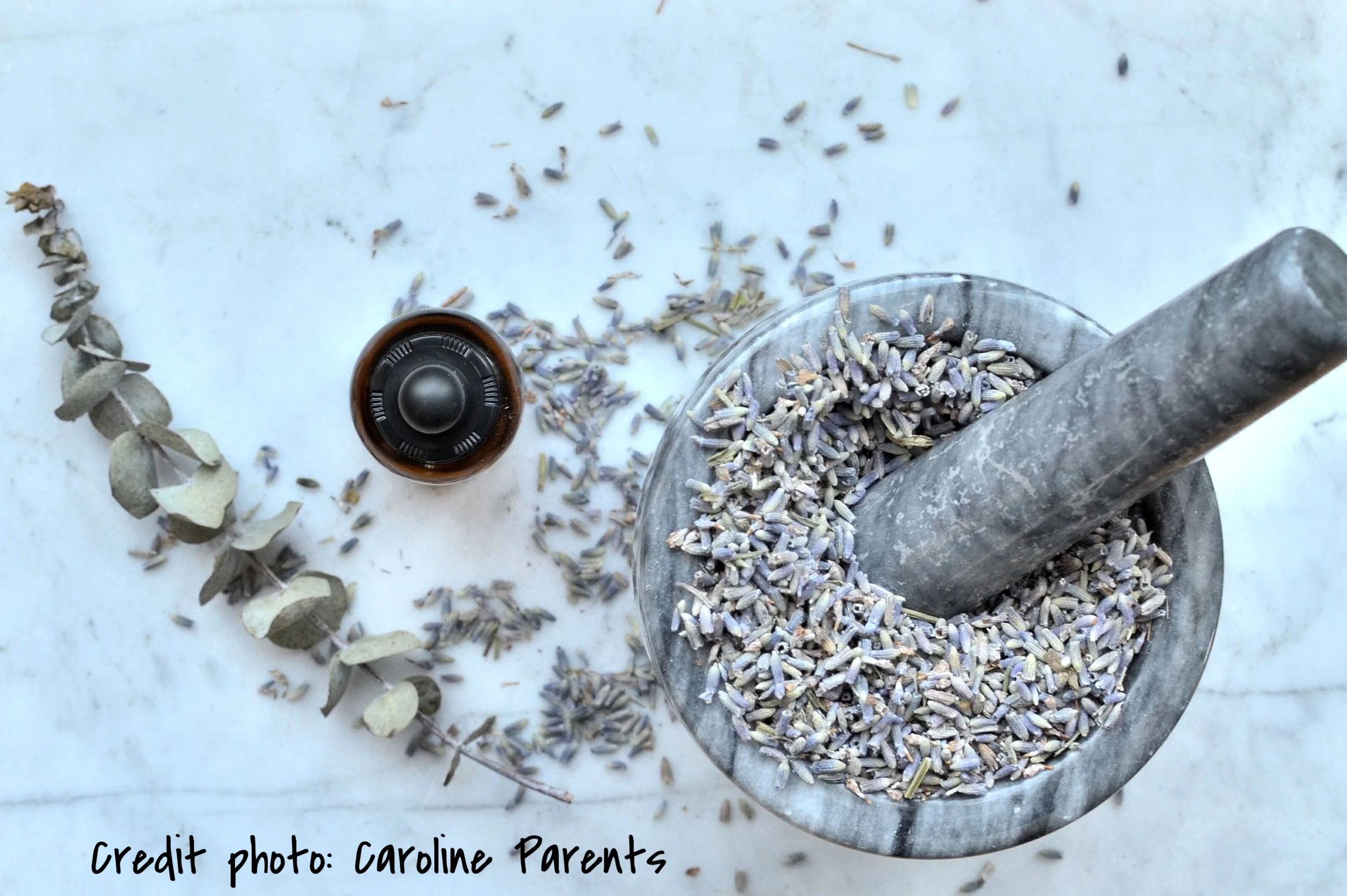 La santé de ma famille par les huiles essentielles