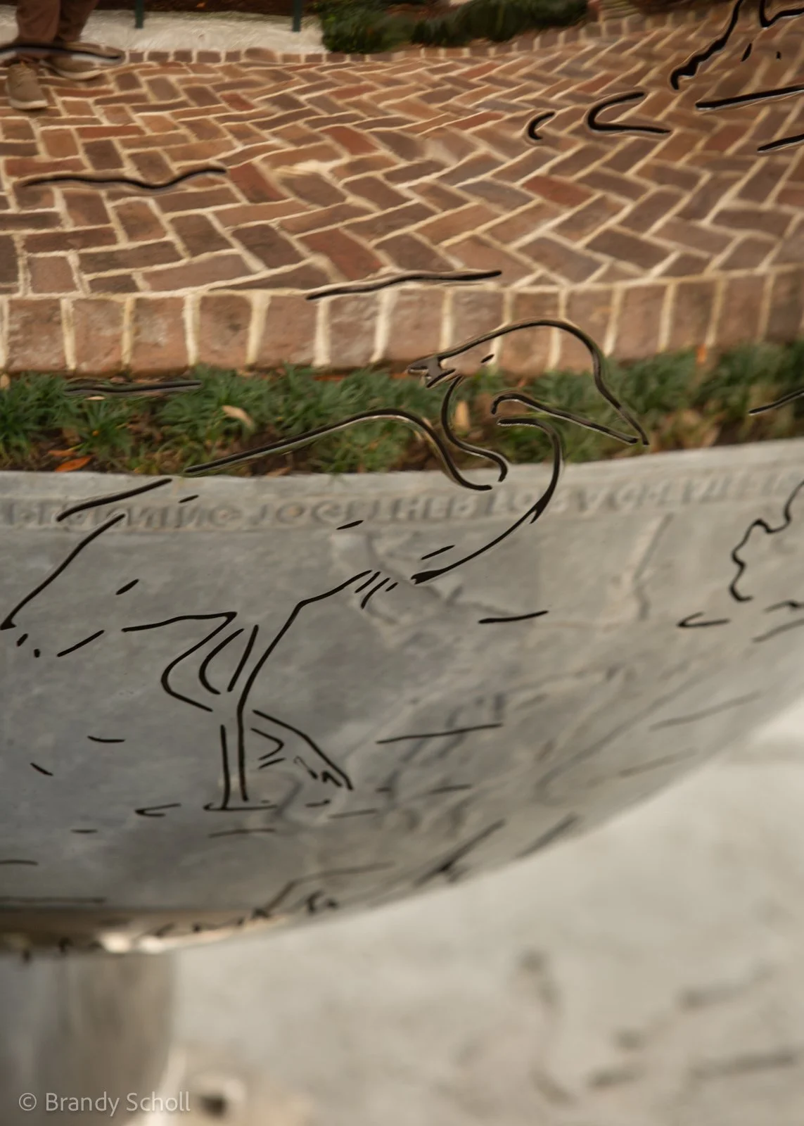 Bluffton Pearl Web-19.jpg