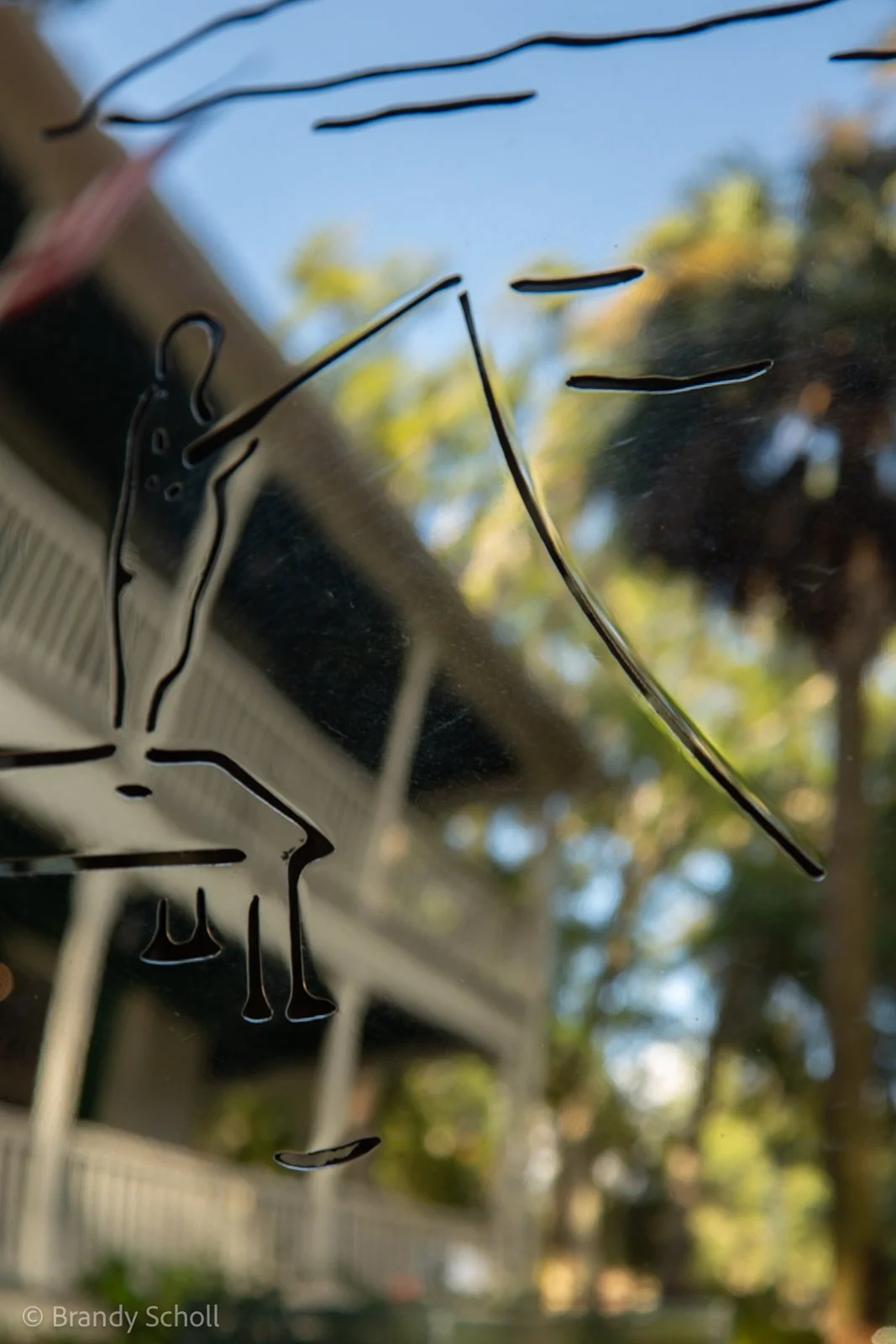 Bluffton Pearl Web-14.jpg