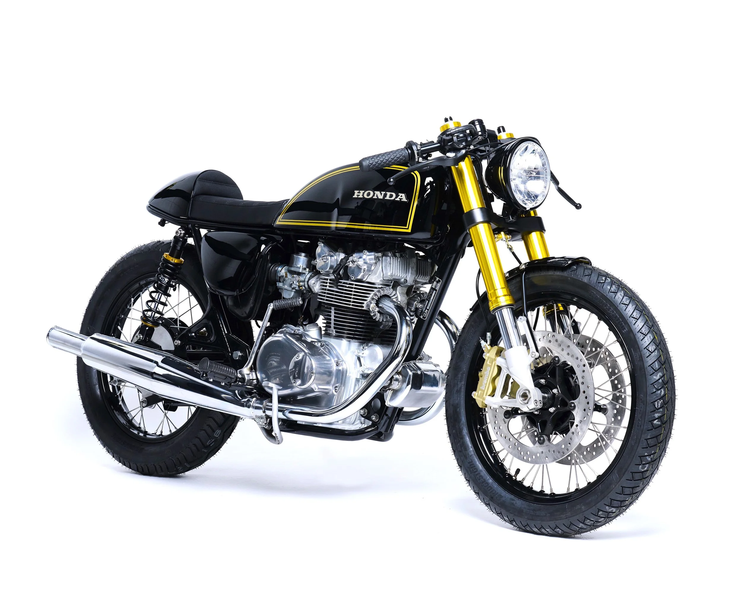 230313_Meister2645 copie.jpeg