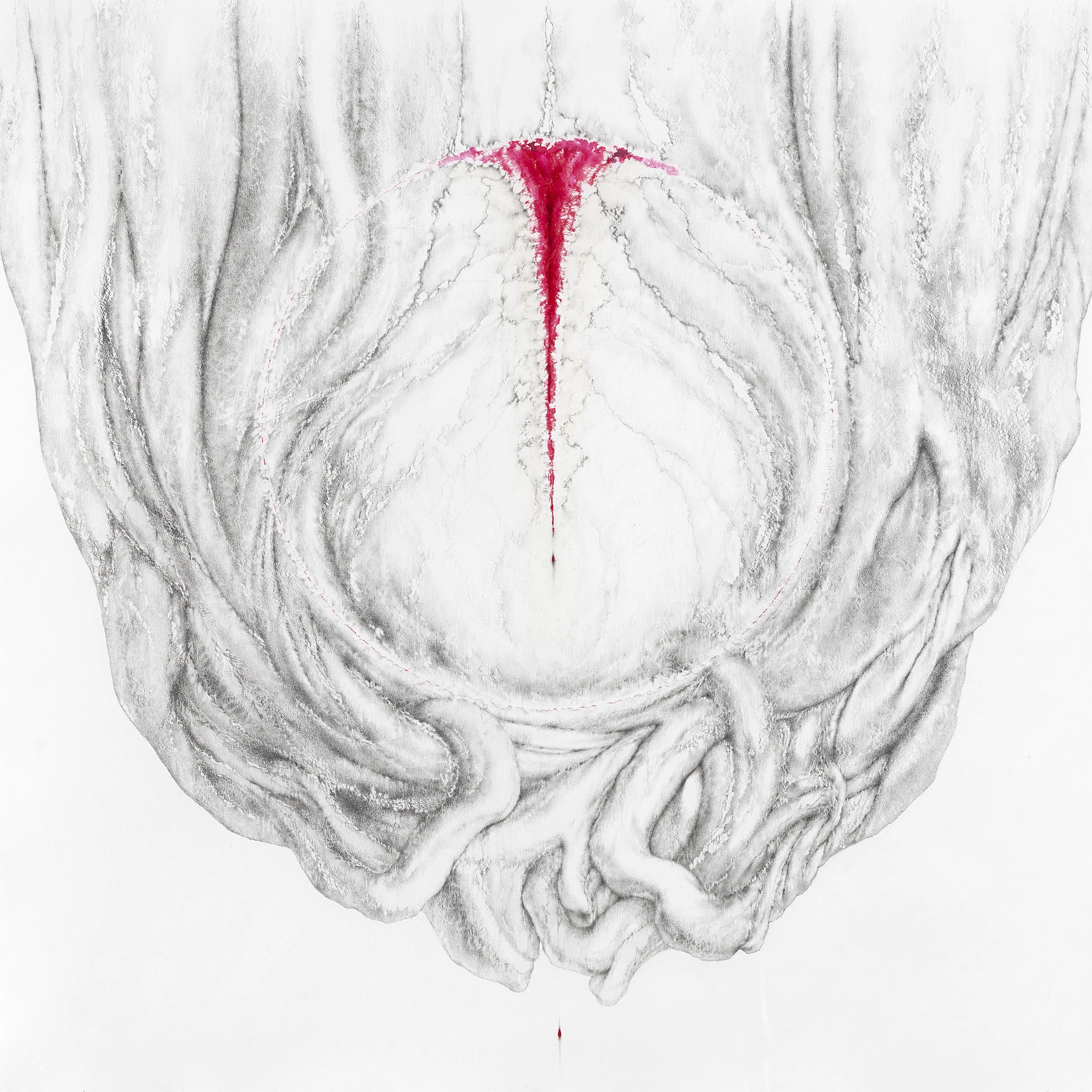 BLEEDING BANYAN 3 , 2014, graphite pencil, red marker, and acrylic on Twinrocker handmade paper, 22 x 22 inches. Collection JoAnn and Robert D. Huth.