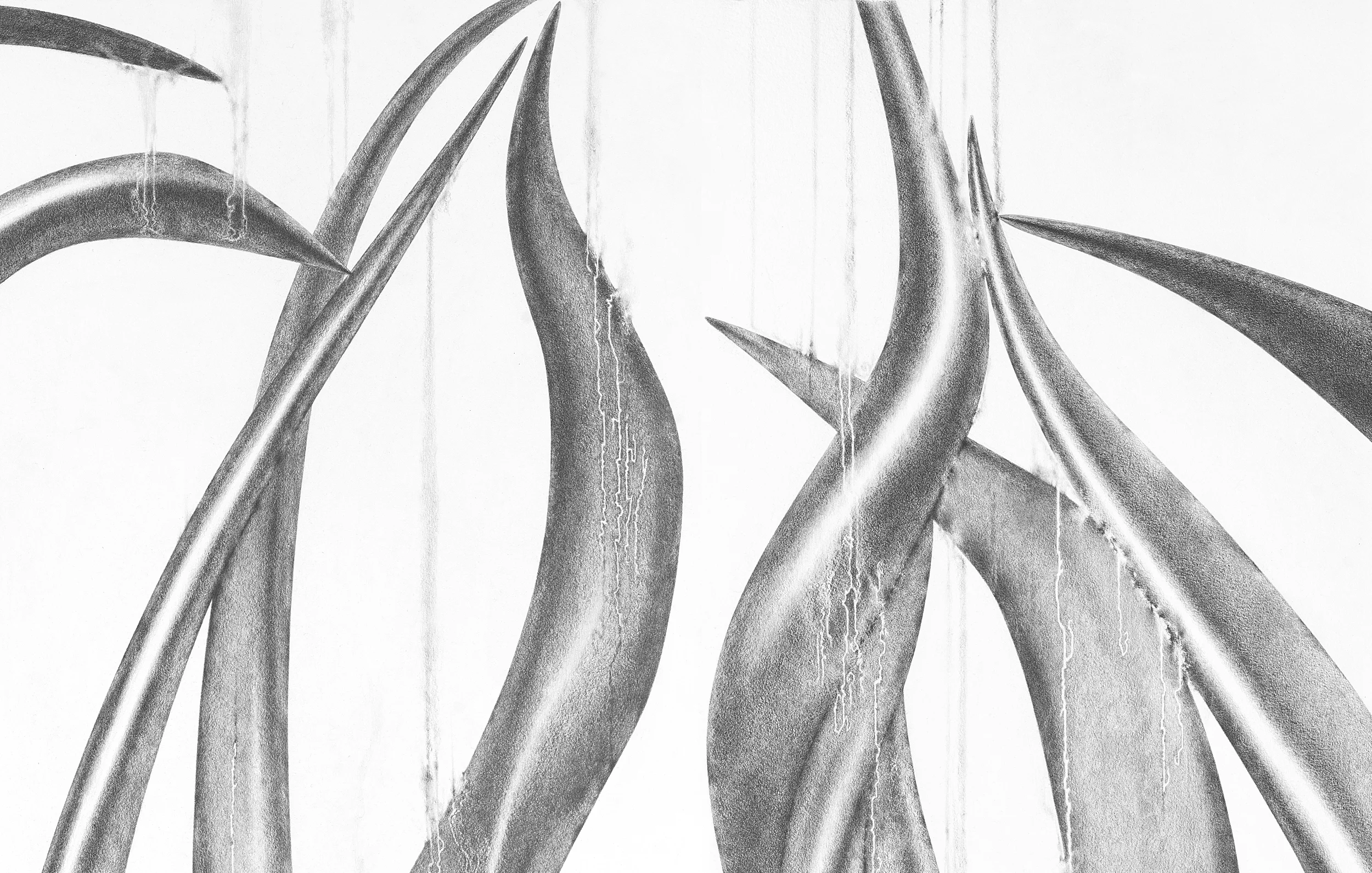 TRIBES , detail