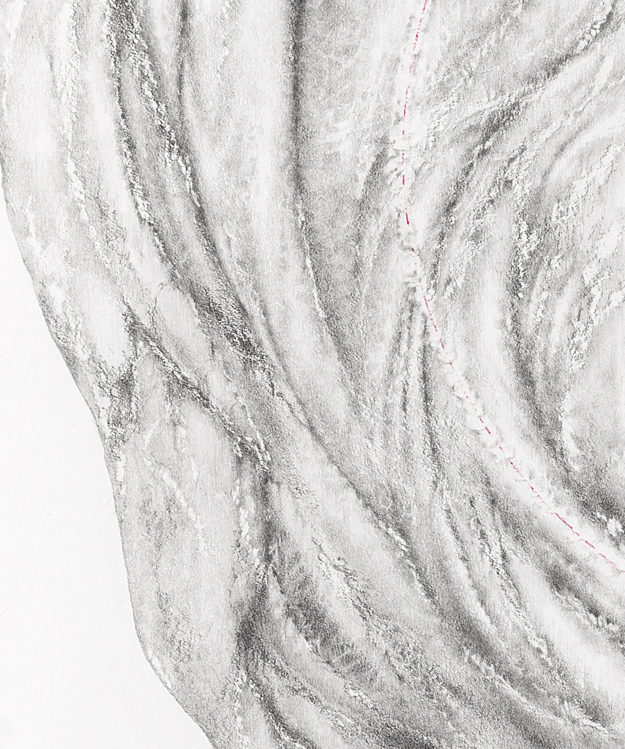WEEPING BANYAN 3 , detail