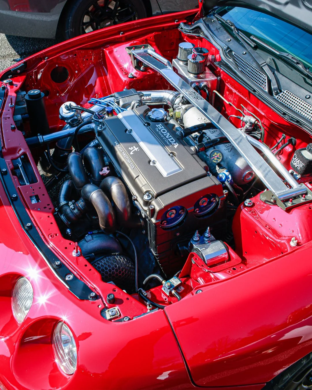 p2.jpg