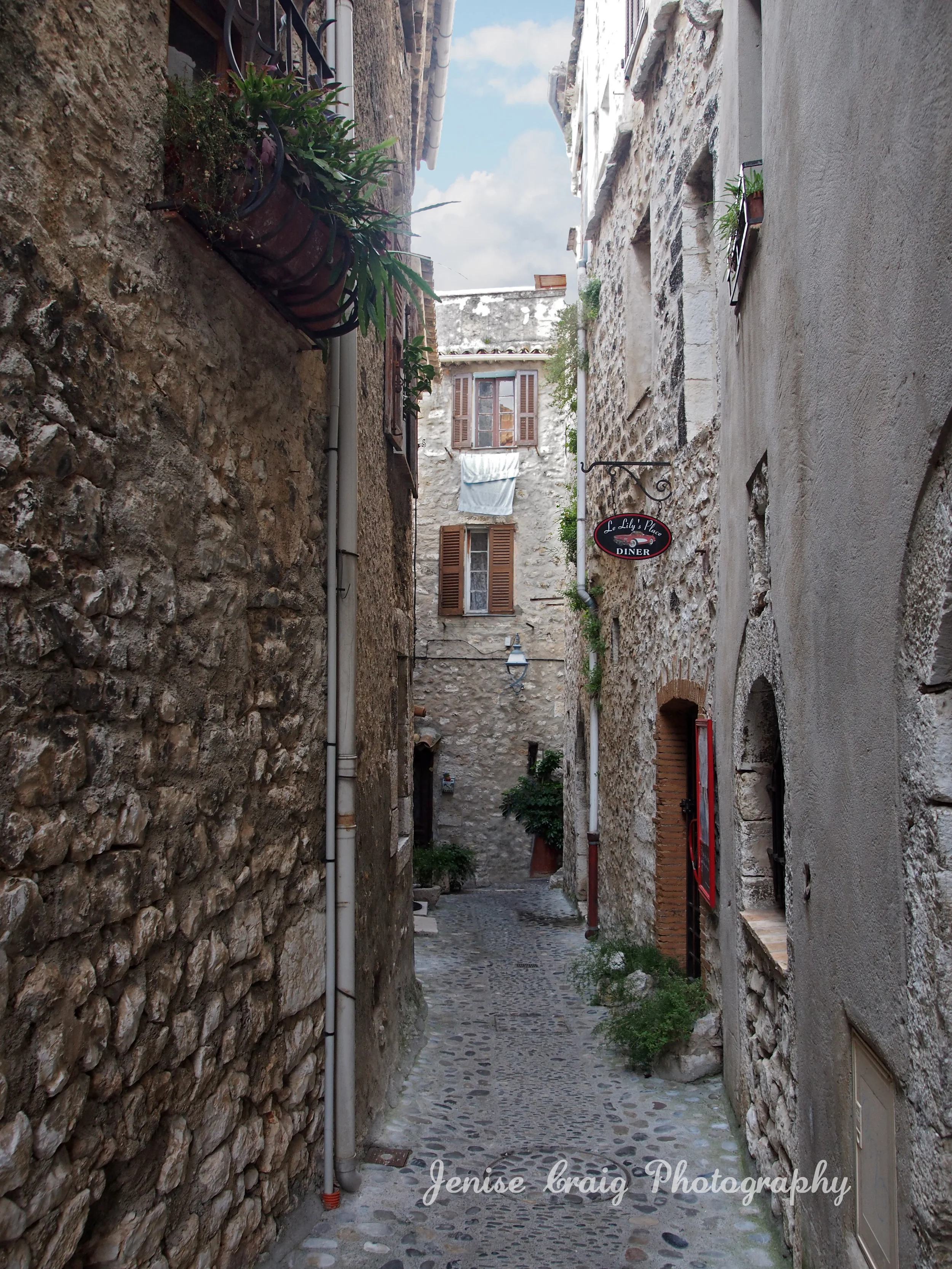 P1011624.copywritejpg