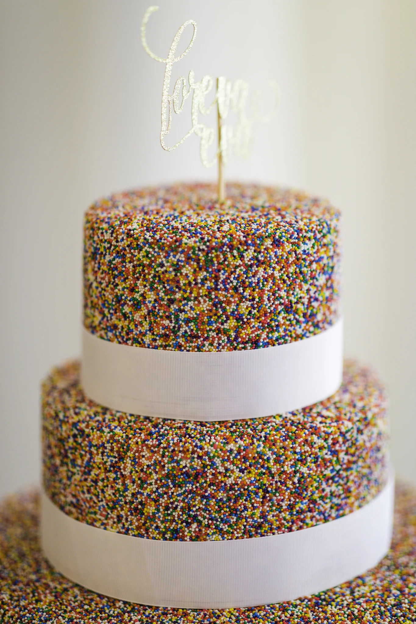 BEST WEDDING PHOTOGRAPHERS PHILADELPHIA NJ.jpg
