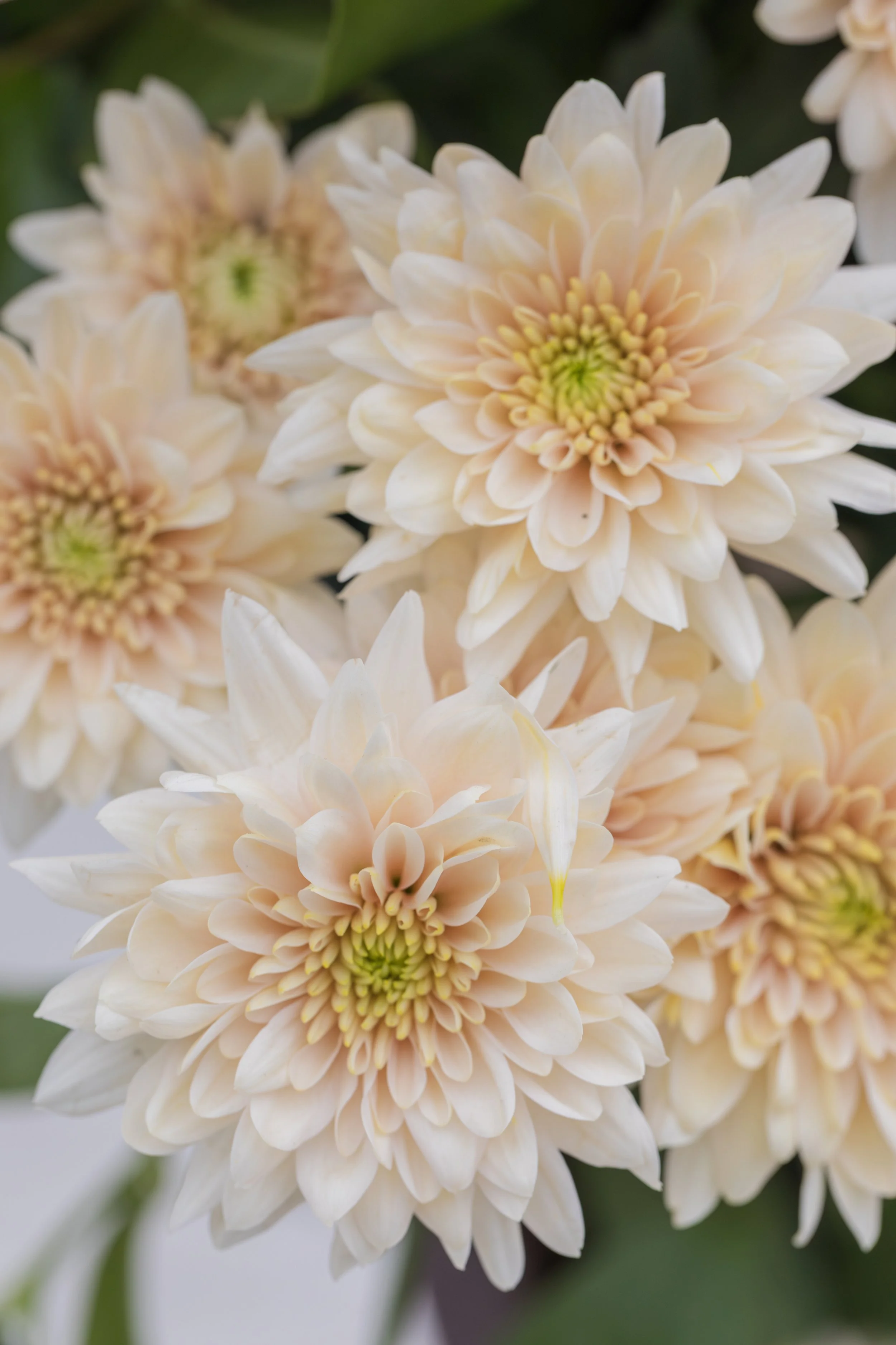 Jen & Danny_WED-2415_P.jpg