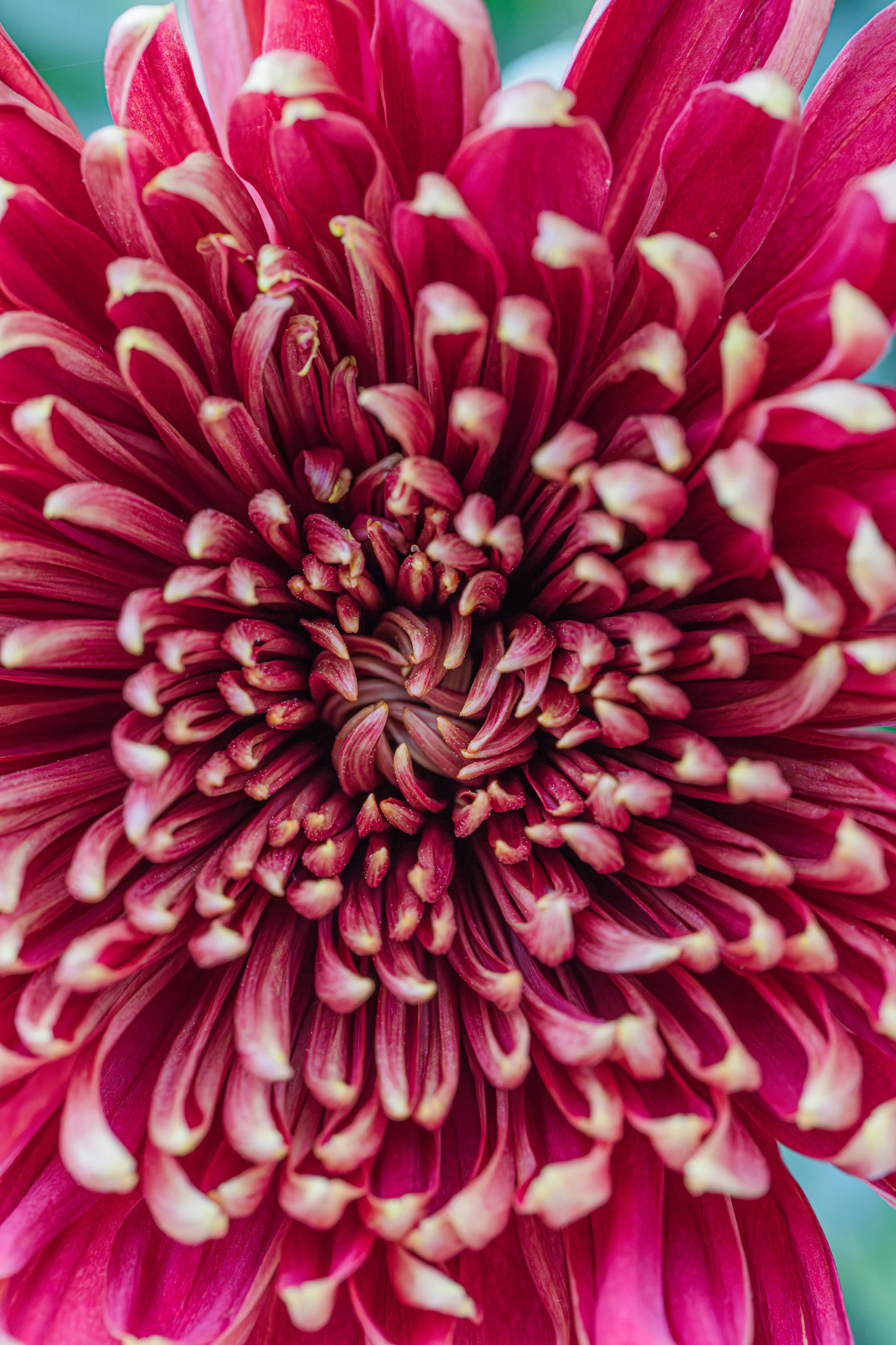 Jen & Danny_WED-2423_P.jpg