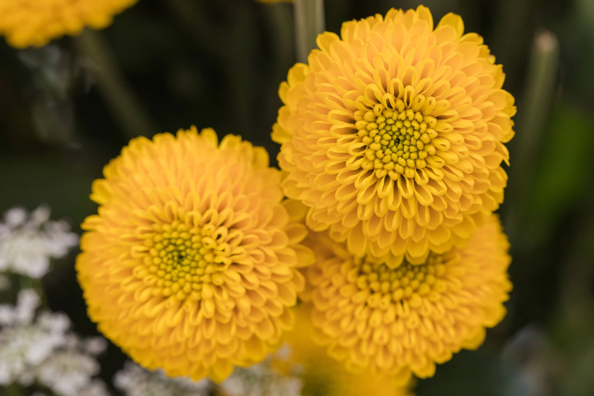 Jen & Danny_WED-2436-P.jpg