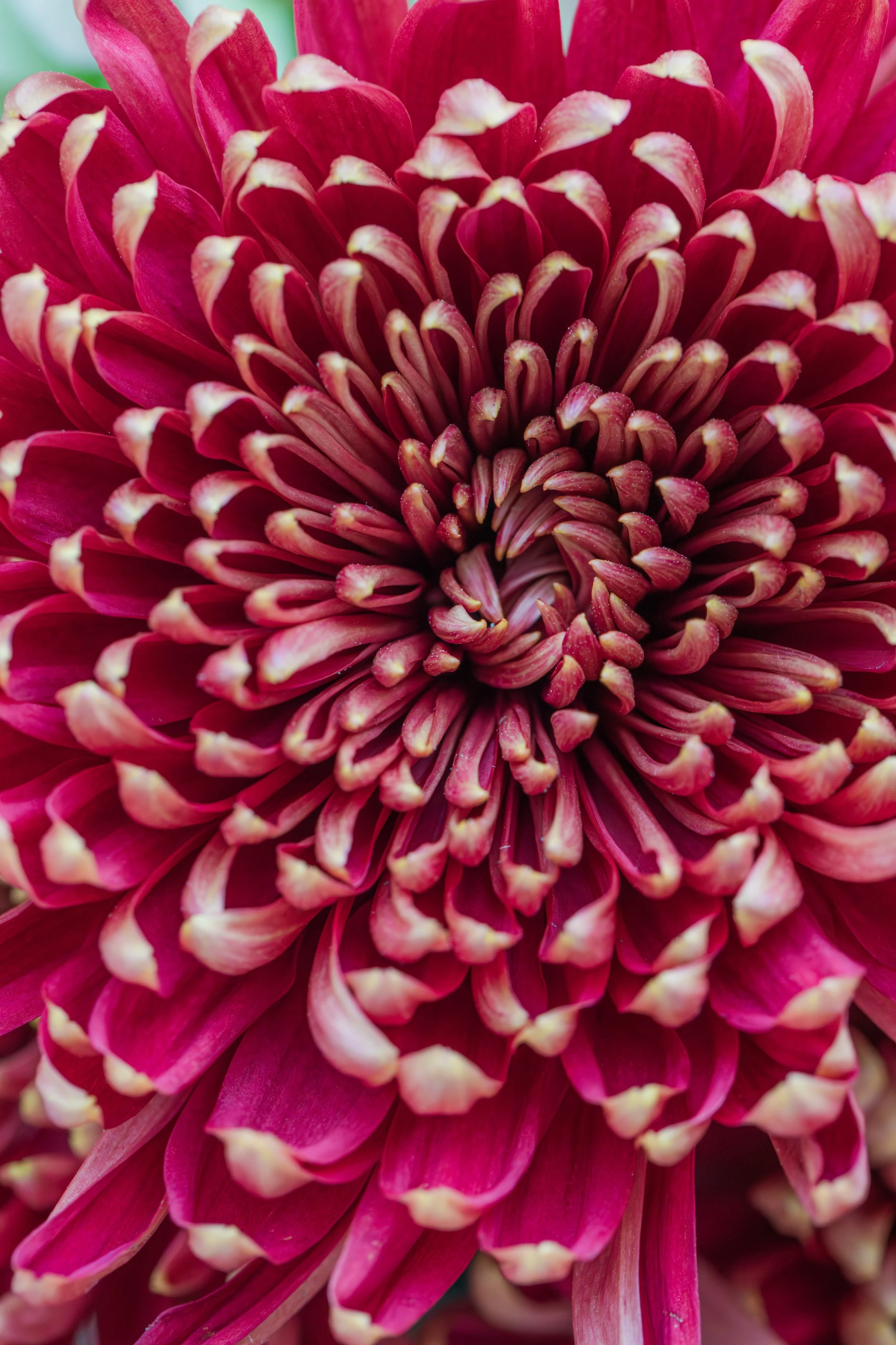 Jen & Danny_WED-2443_P.jpg