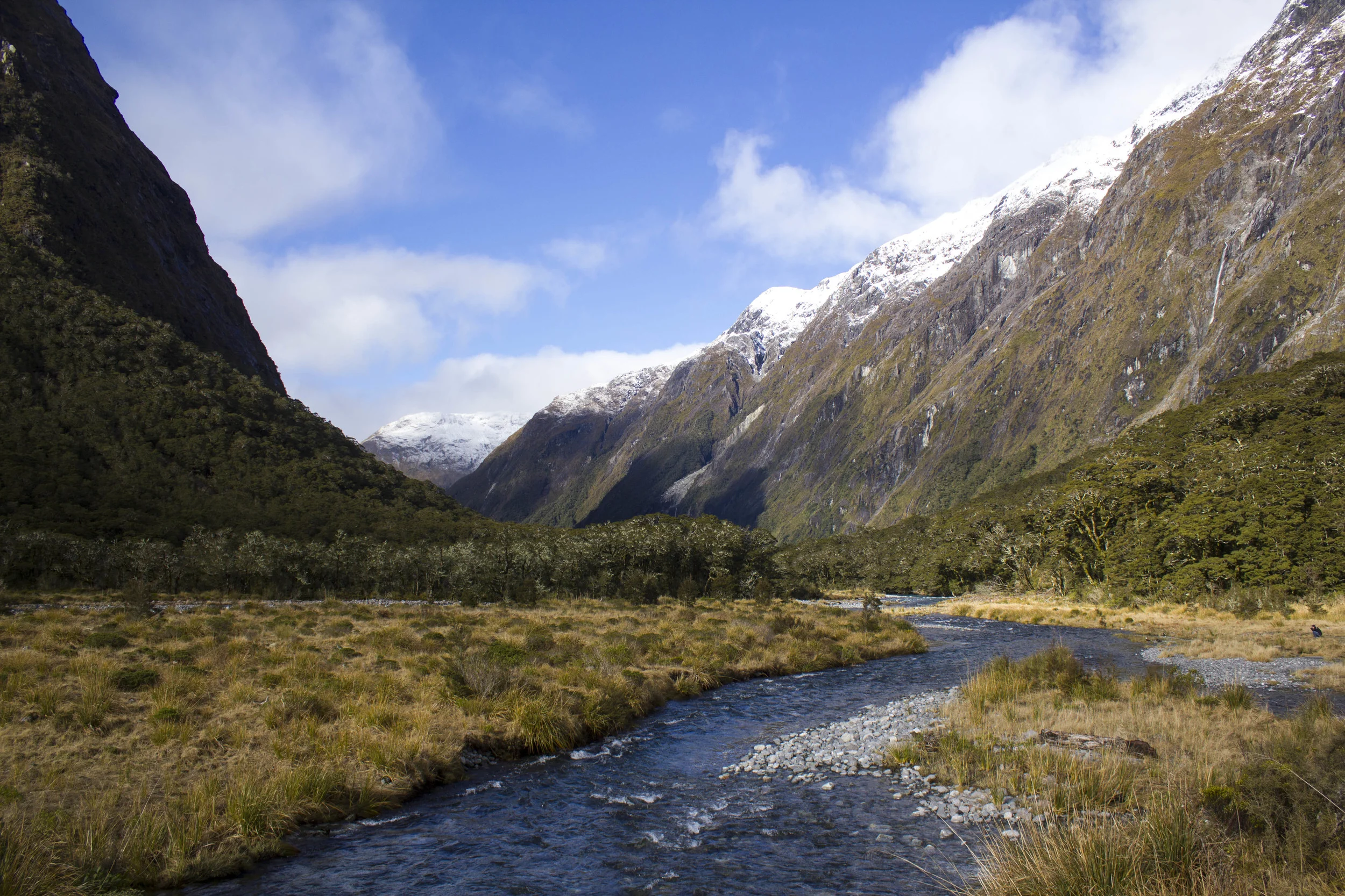 Road to Milford Sound