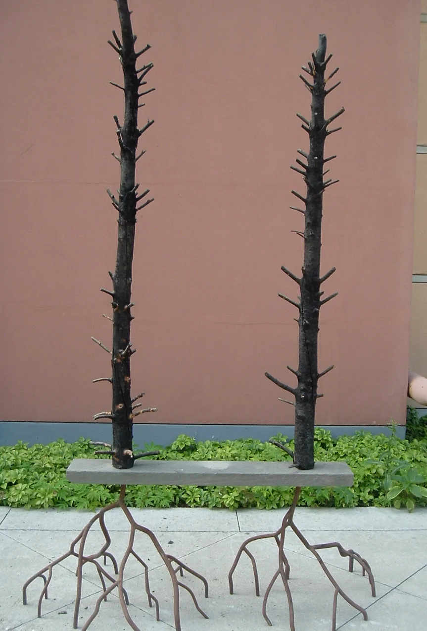   Twins  Burnt pines, stone and steel 10’ x 4’ x 2’ 201 4  
