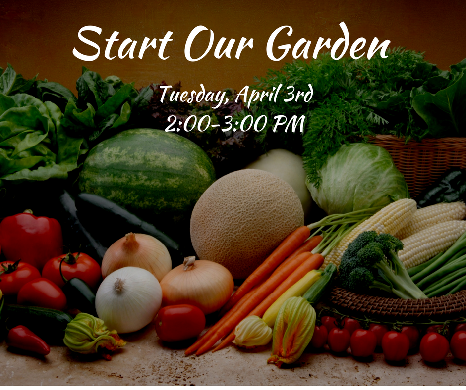 4.3.18 garden.png