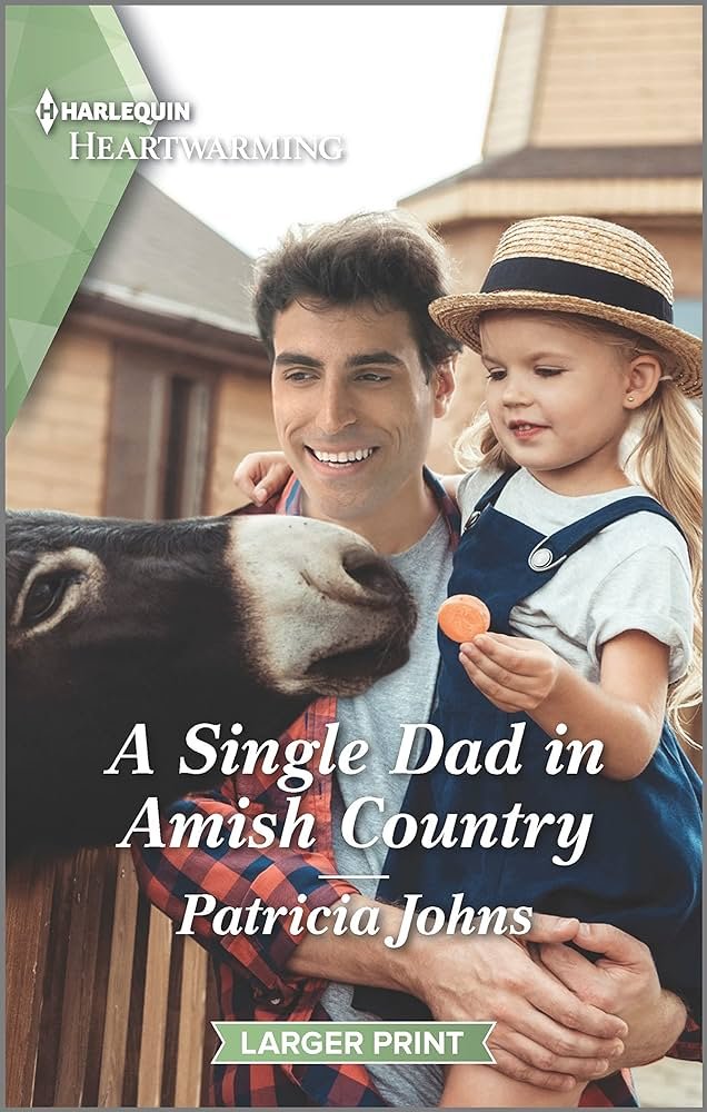 A Single Dad in Amish Country 1-24.jpg