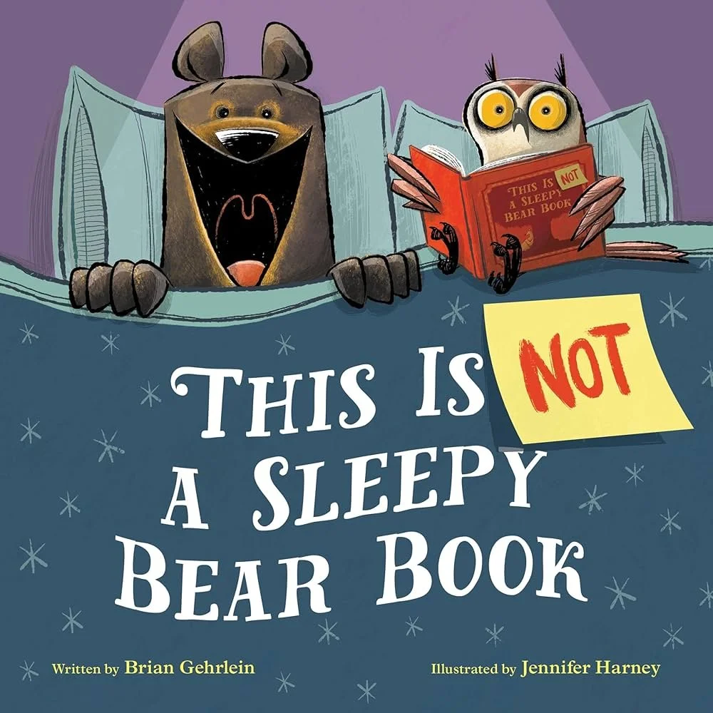 This is not a Sleepy Bear Book.jpg