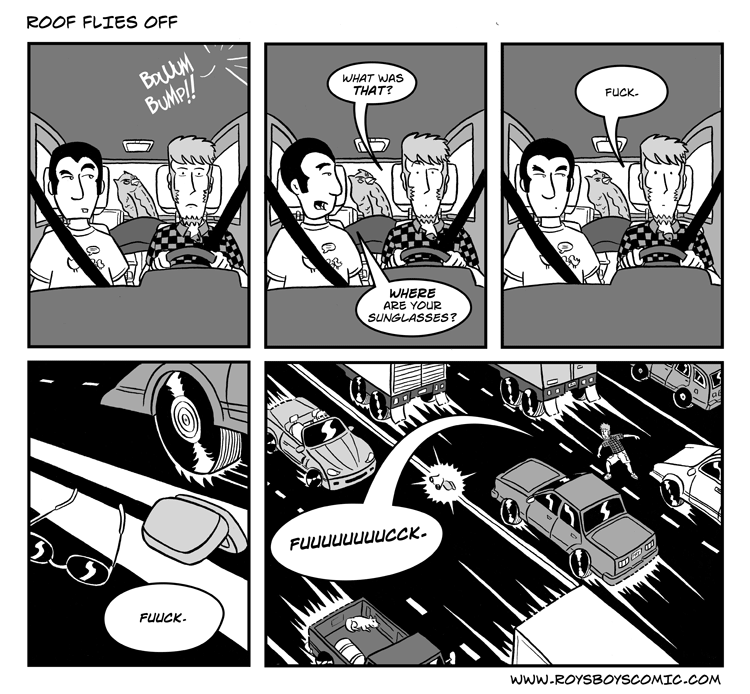 2010-11-18-shane_00010_rooffliesoff.gif