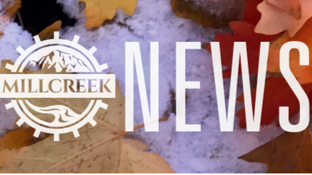 banner 3.png
