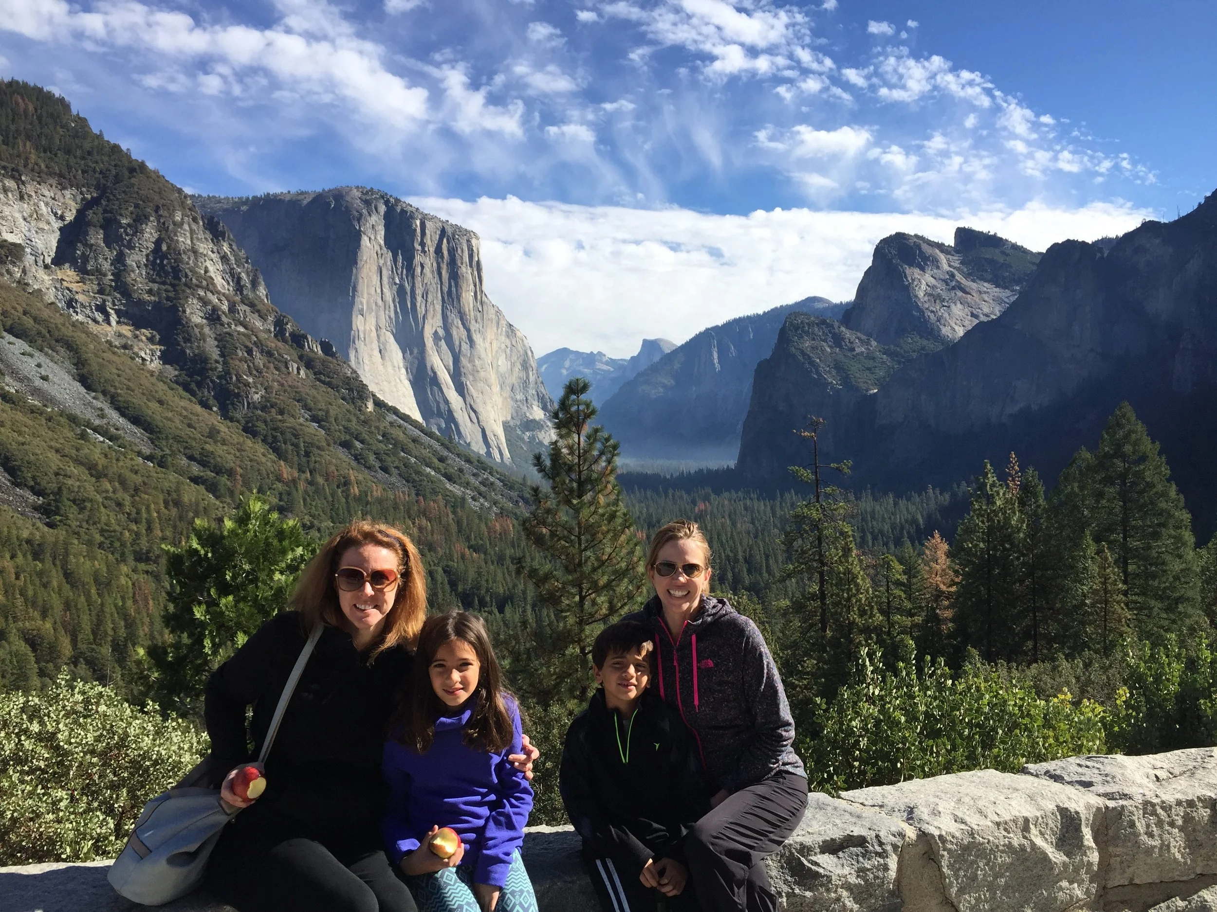 Hi! We are Michele and Maureen. Two sisters who are working toward a more mindful way to live!