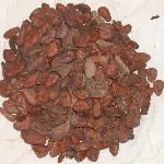 ghana%20forestero.jpg