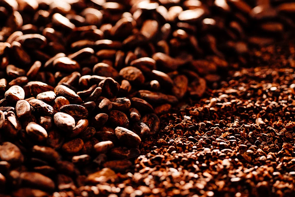 cracking cocoa beans to nibs