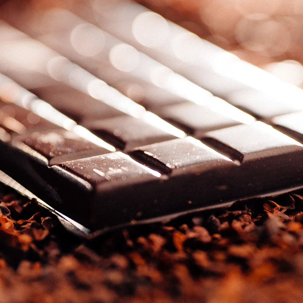 How To Make Chocolate — Chocolate Alchemy