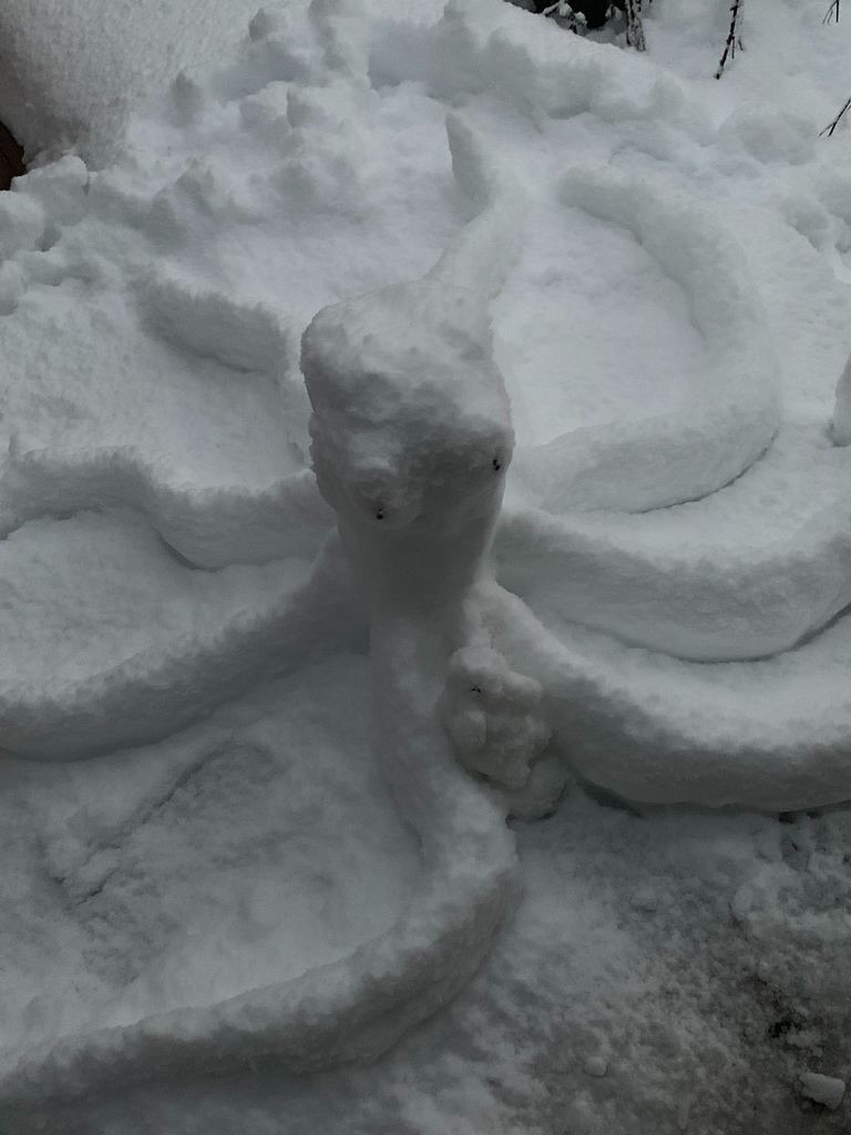 octo and squirel .jpg